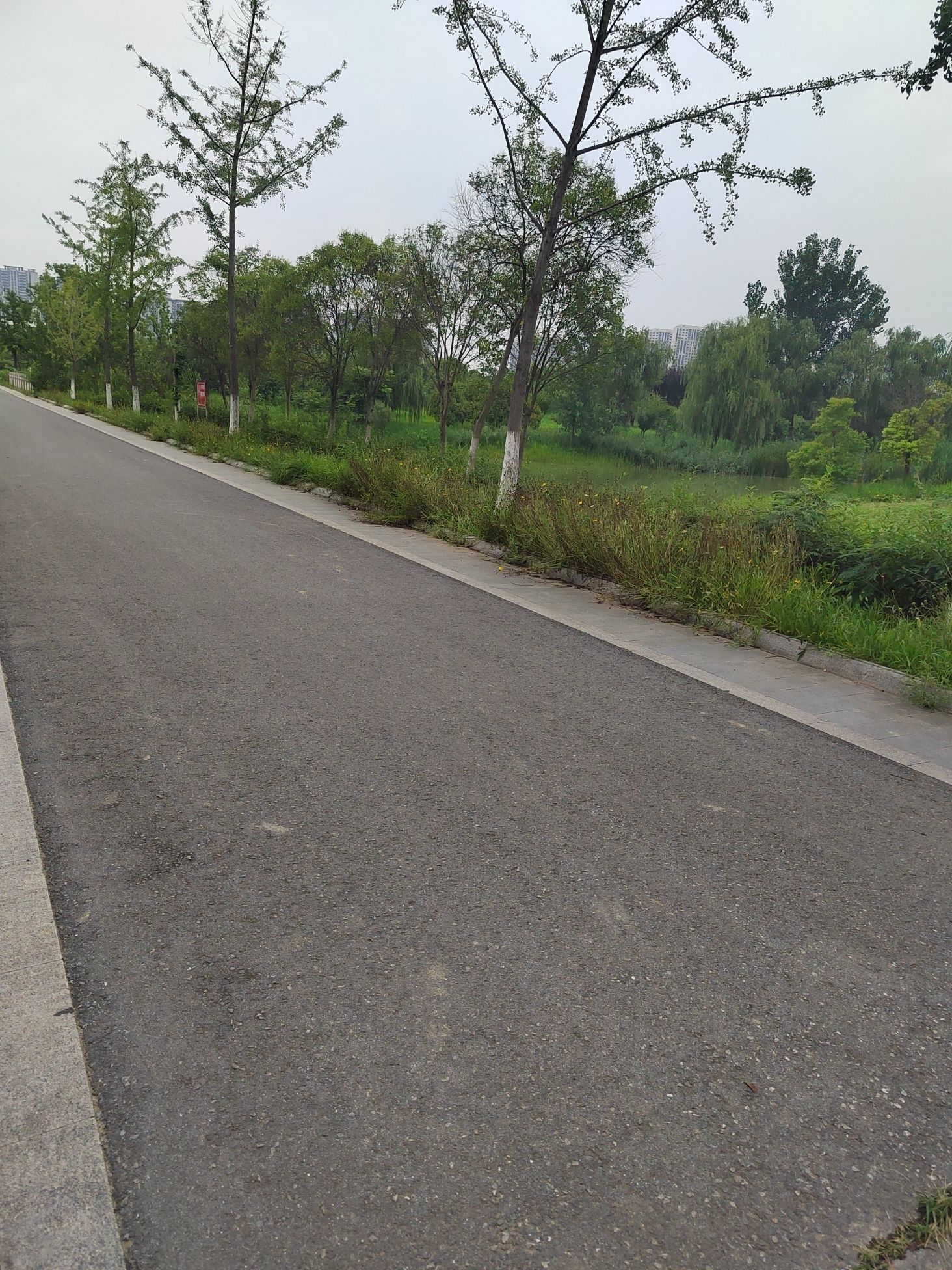 泗洪城南公园旅行图片 2