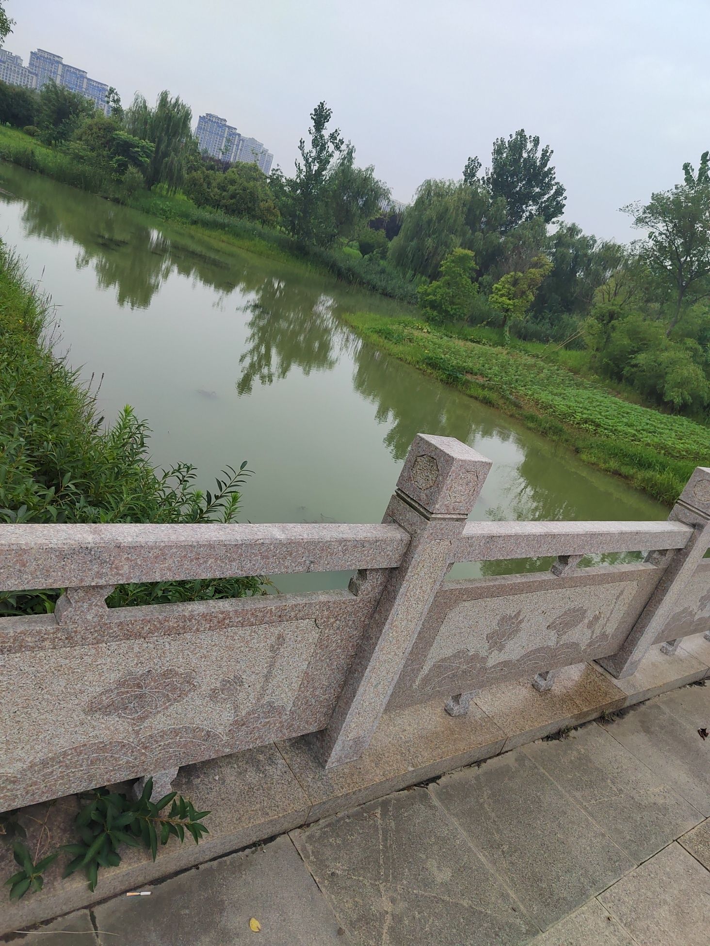 泗洪城南公园旅行图片 3