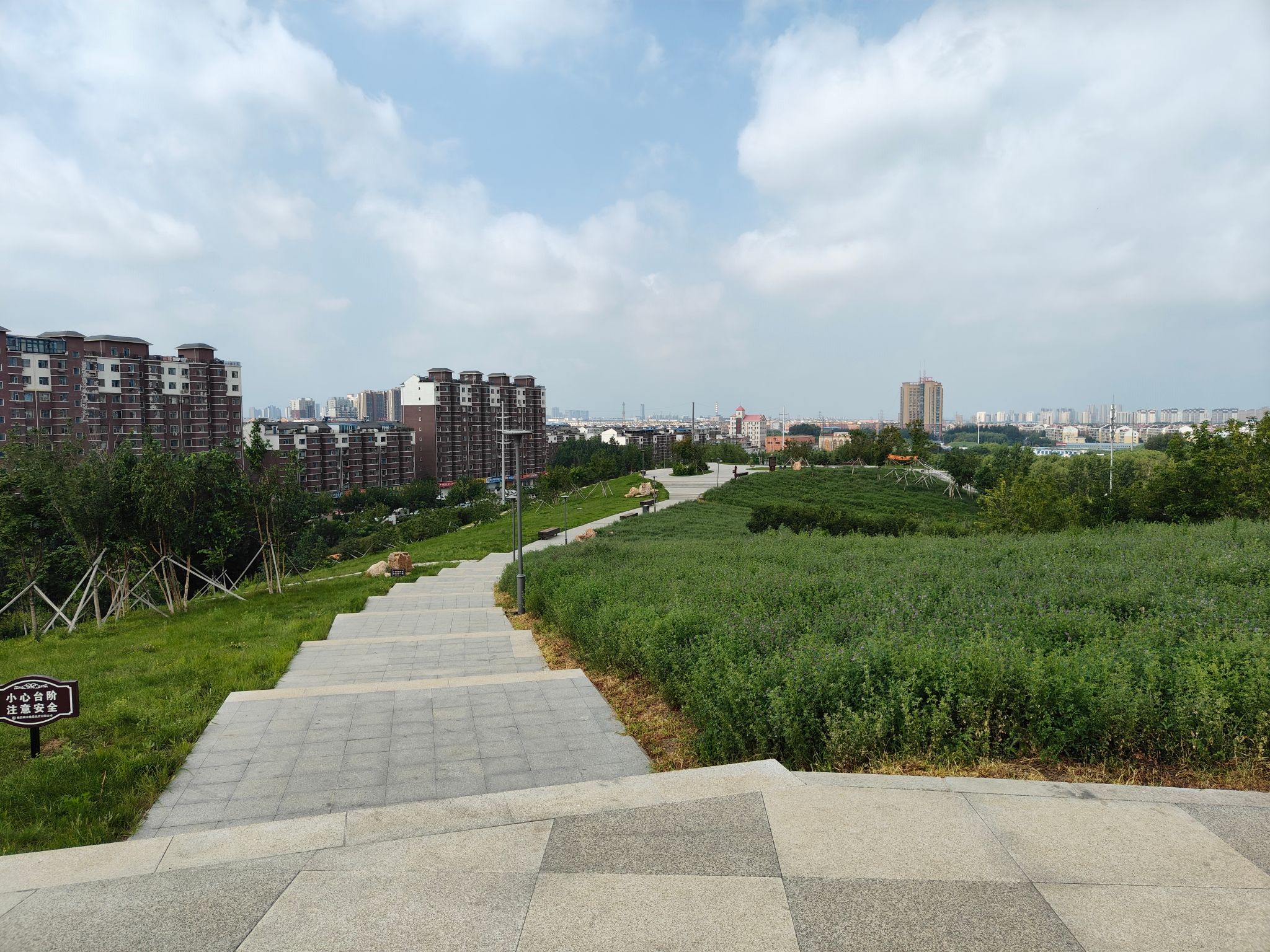 同心湖公园旅行图片 2
