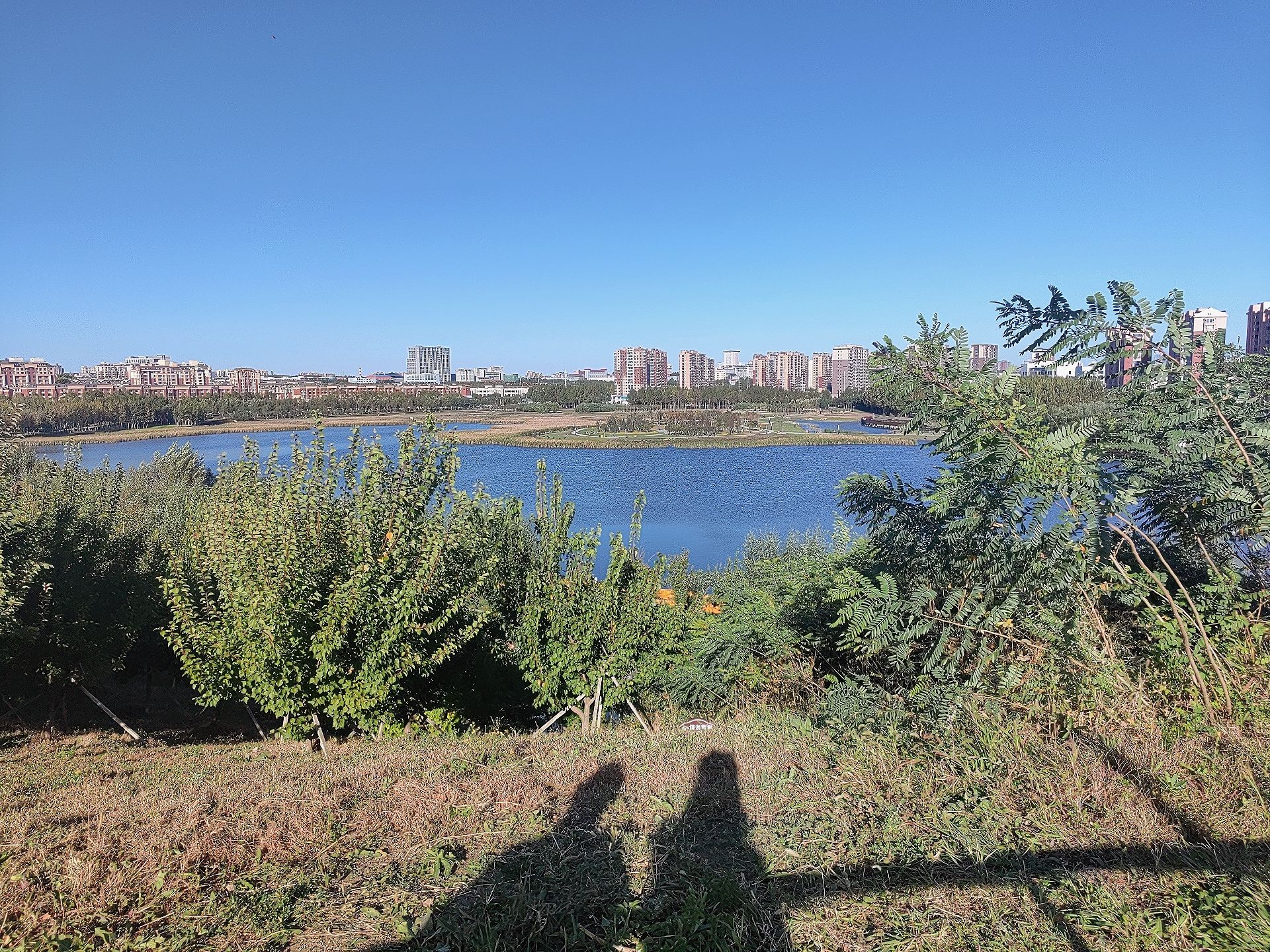 同心湖公园旅行图片 1