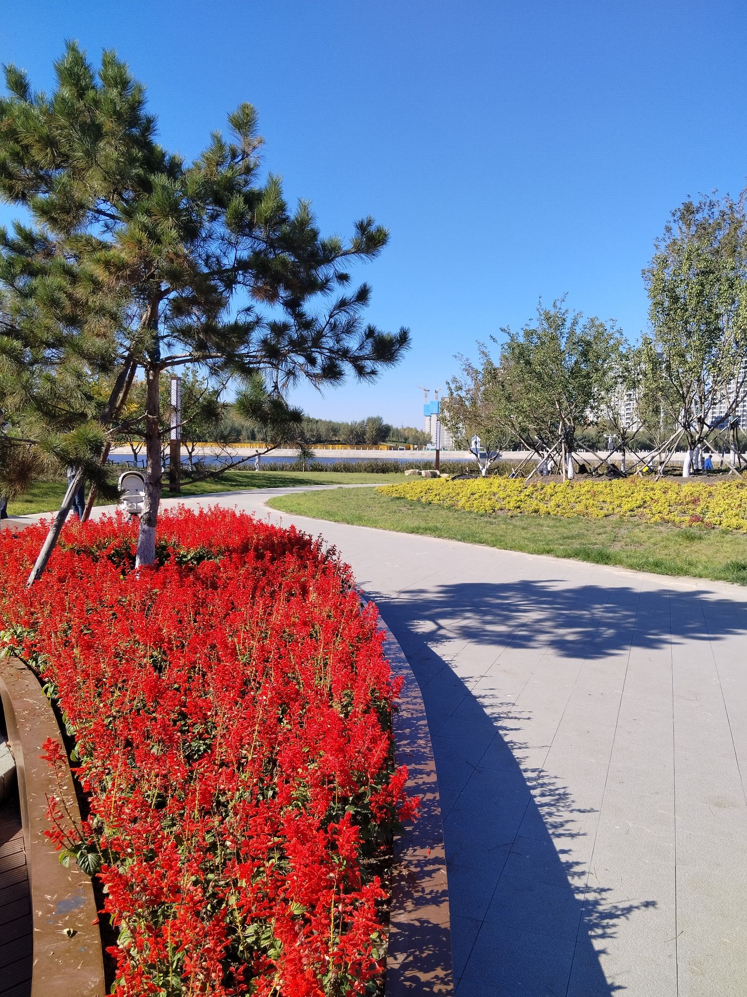 同心湖公园旅行图片 1