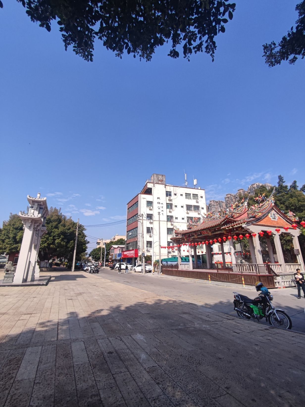 龙虎宫旅行图片 1