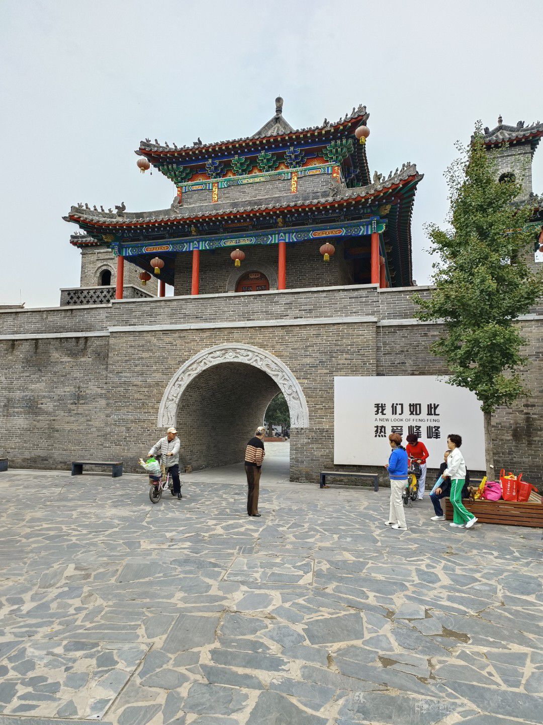 彭城老槐树旅行图片 2