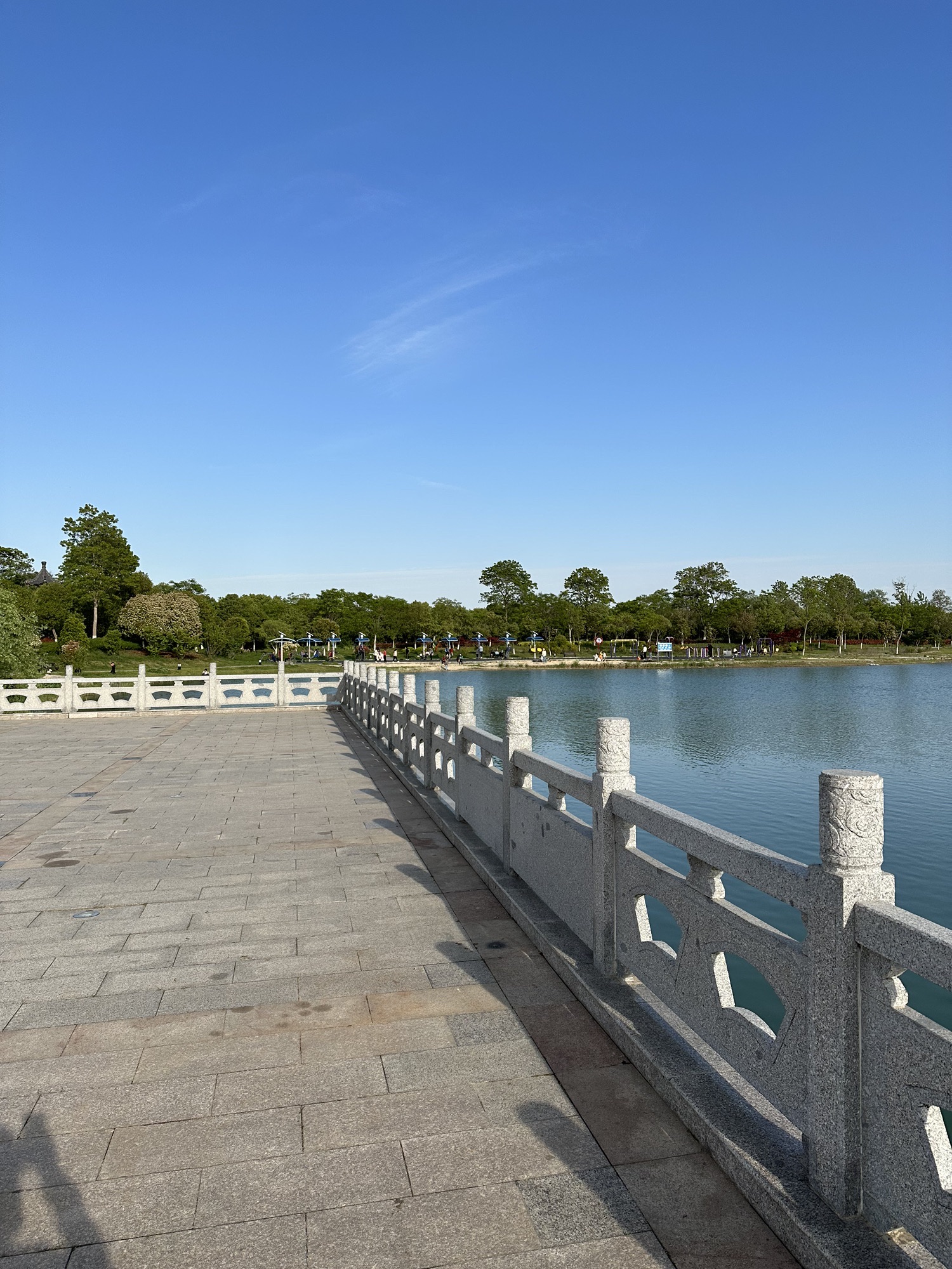 向阳湖公园