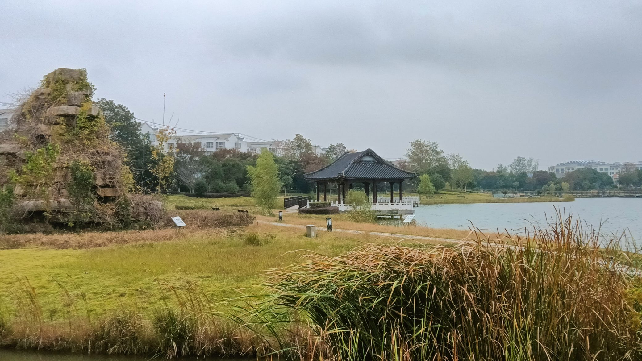 向阳湖公园旅行图片 3