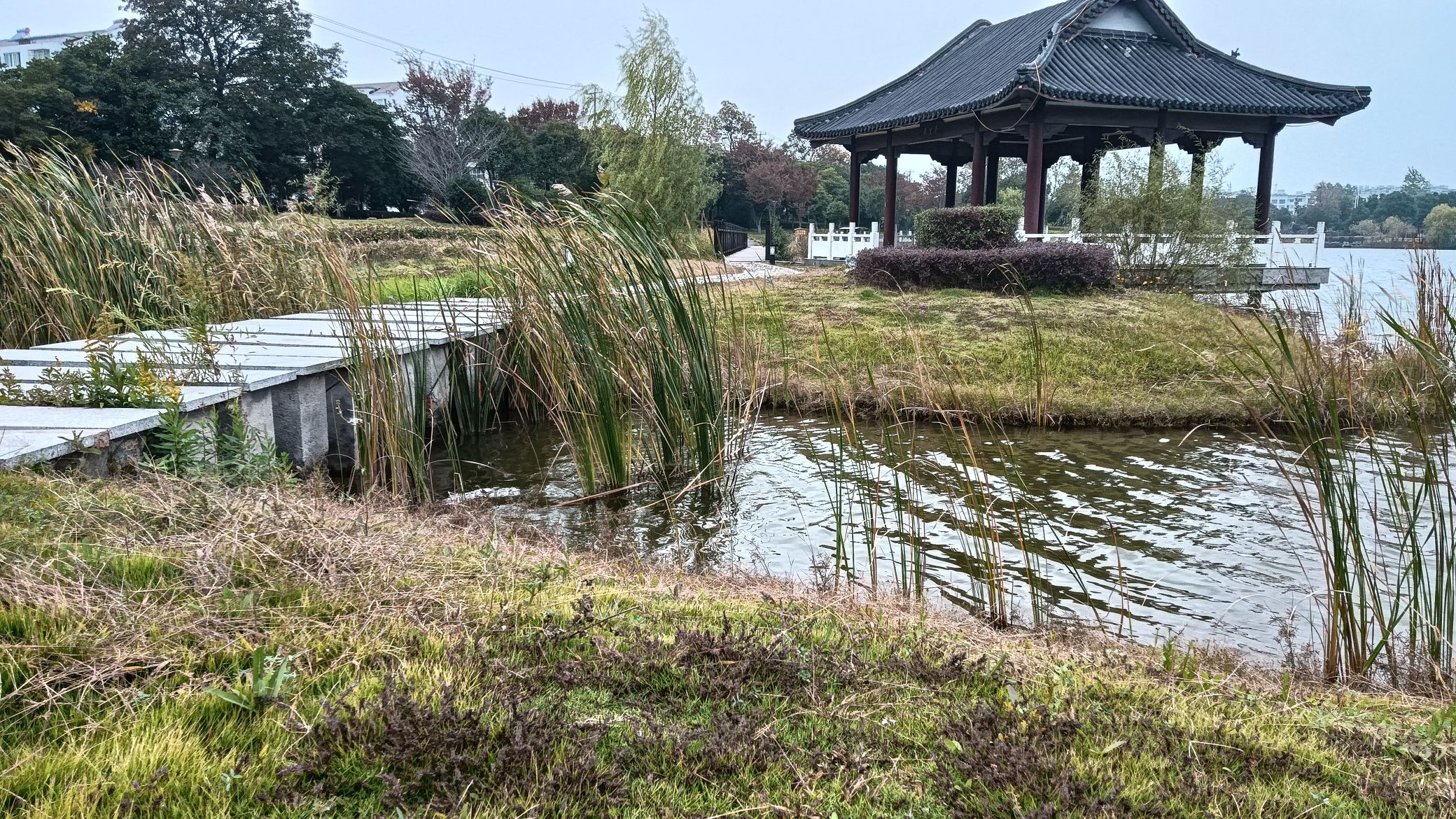 向阳湖公园旅行图片 1