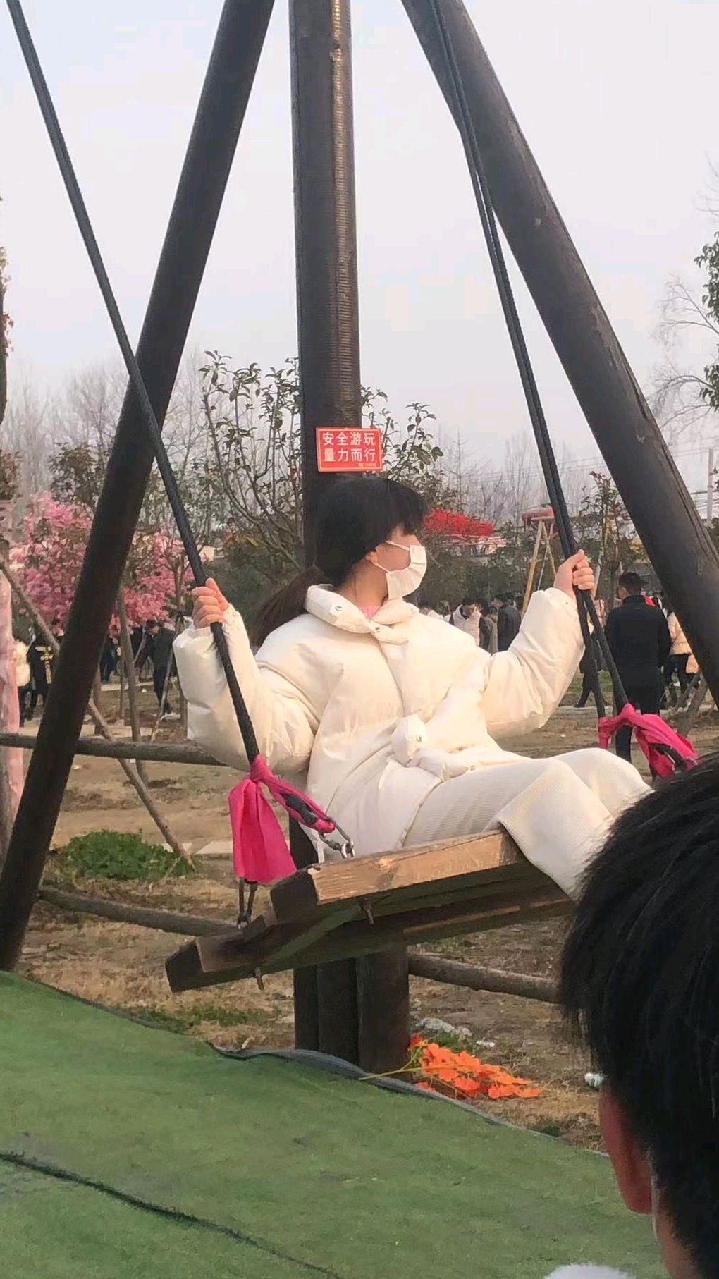 三秋醋博园旅行图片 1