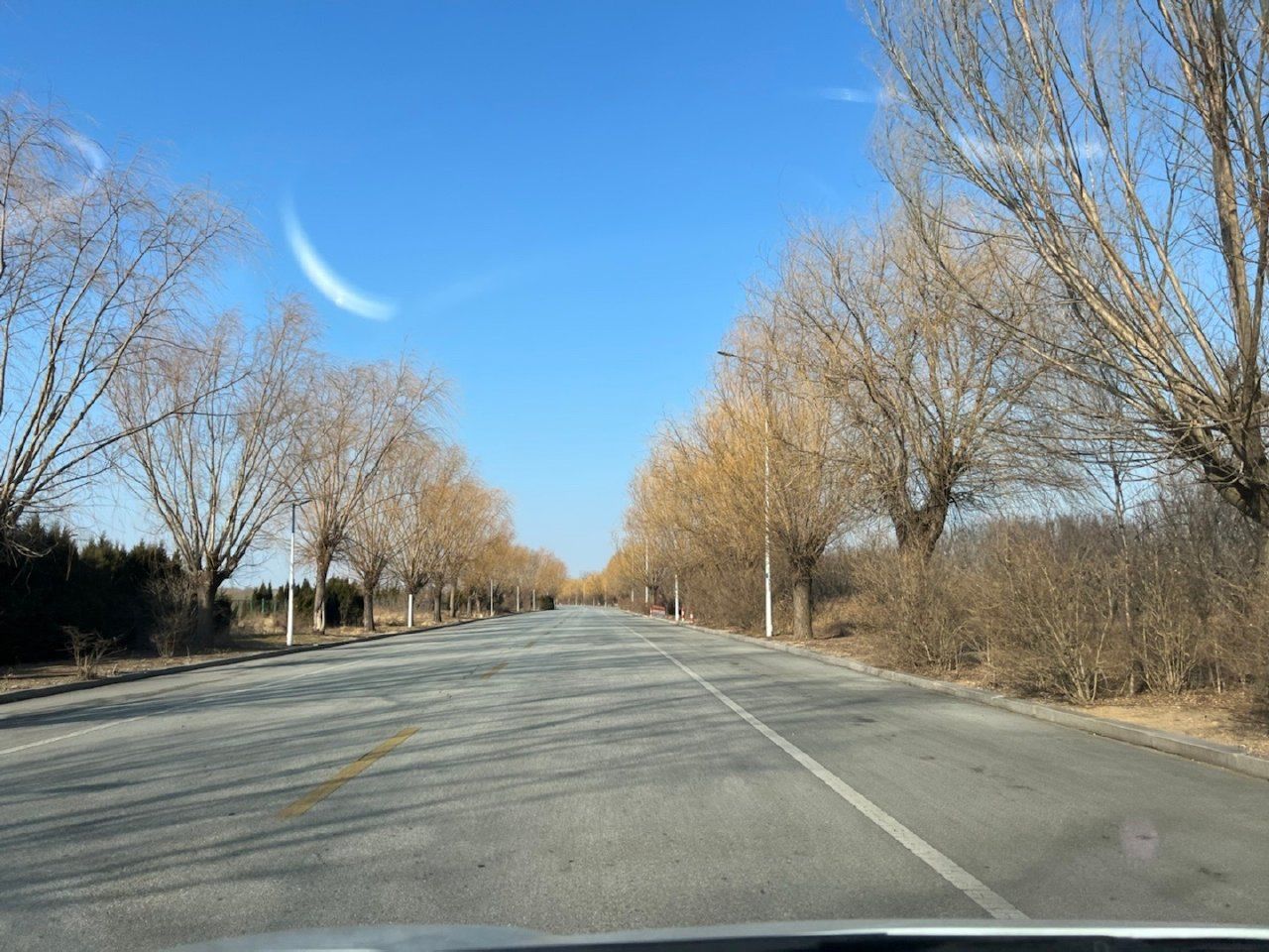 湖滨公园-莱西湖生态休闲区旅行图片 1