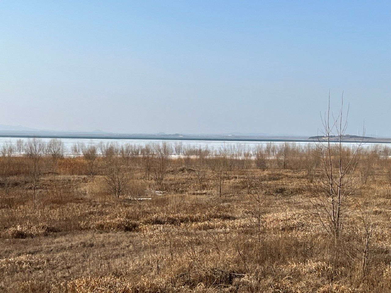 湖滨公园-莱西湖生态休闲区旅行图片 2