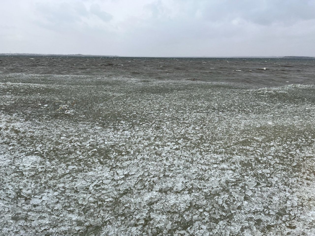湖滨公园-莱西湖生态休闲区旅行图片 3
