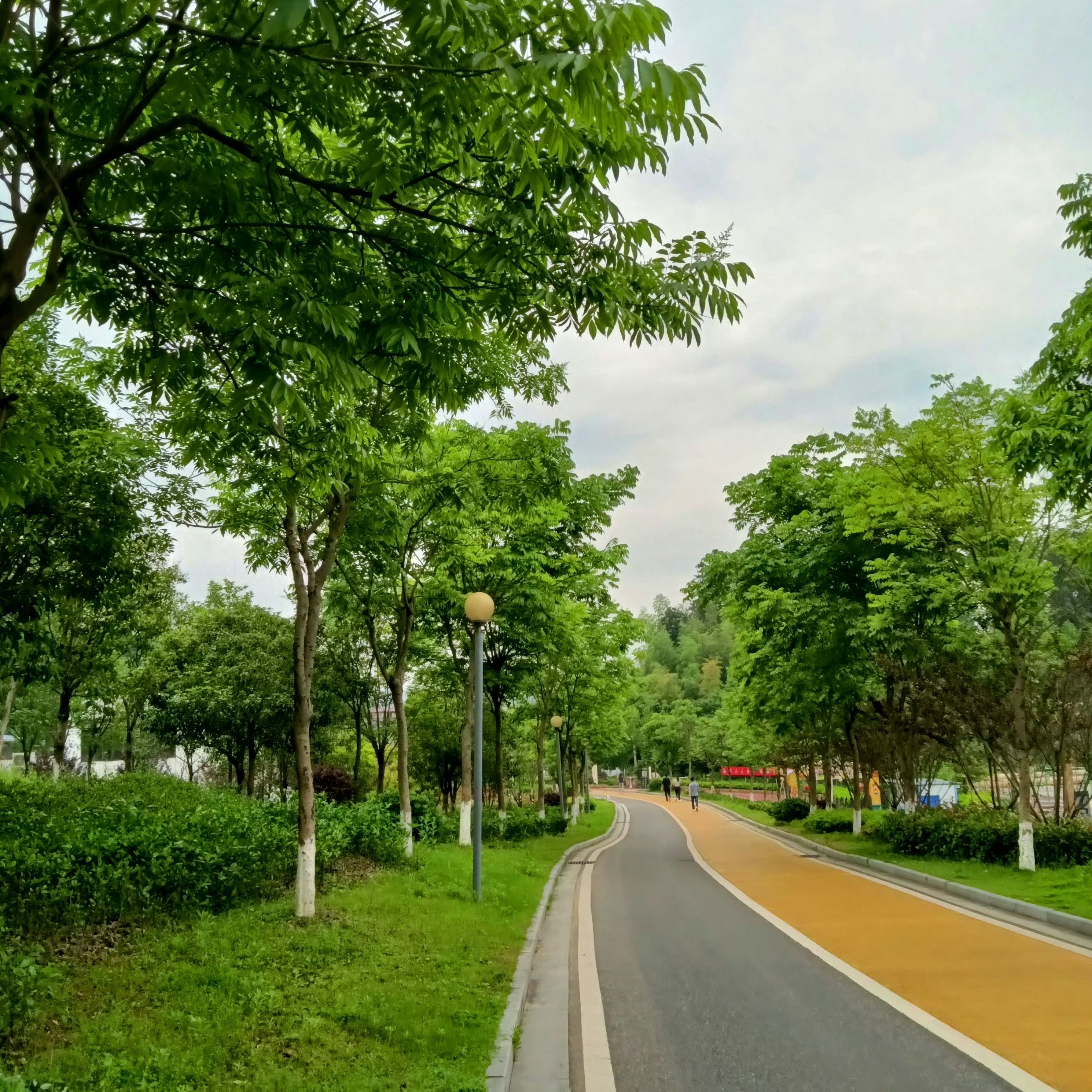 登云岭旅行图片 1