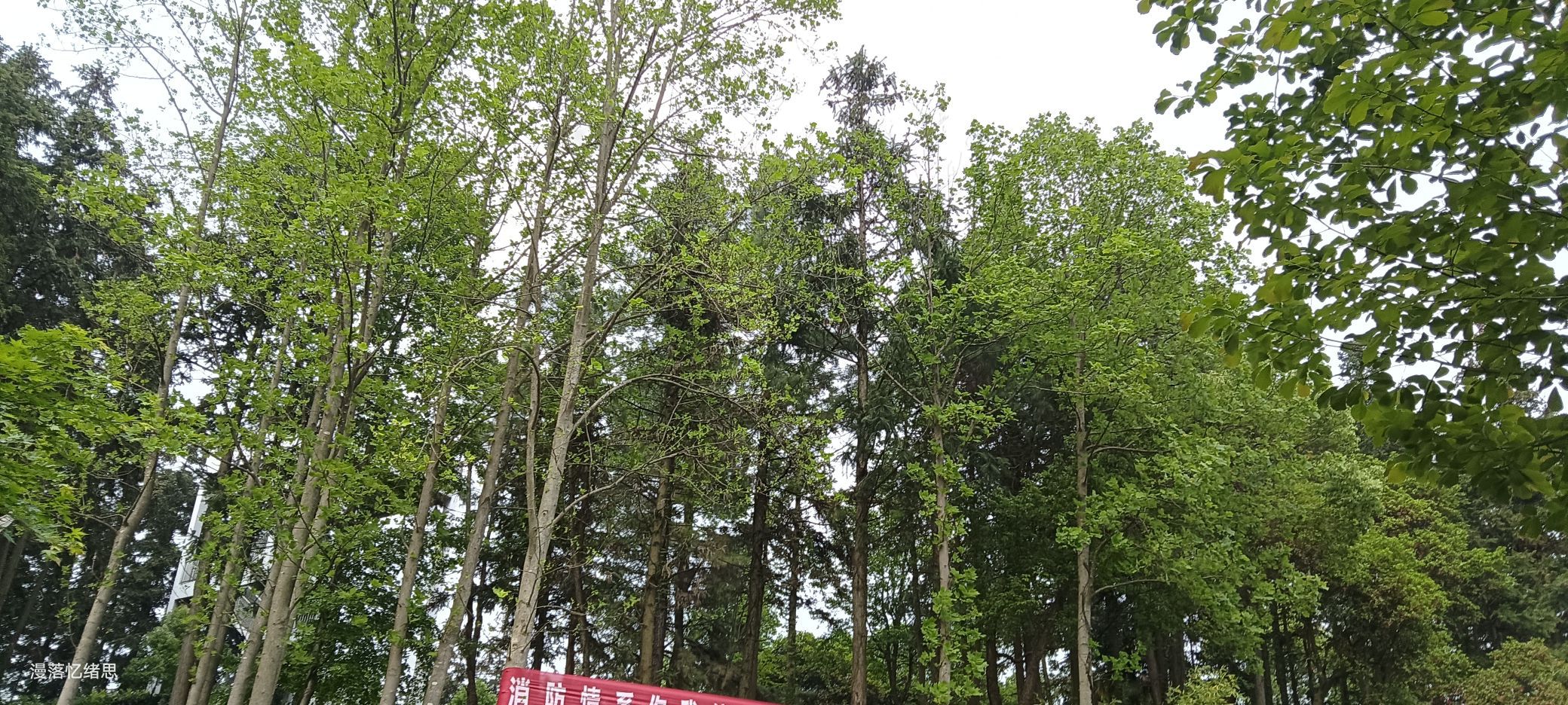 登云岭旅行图片 1