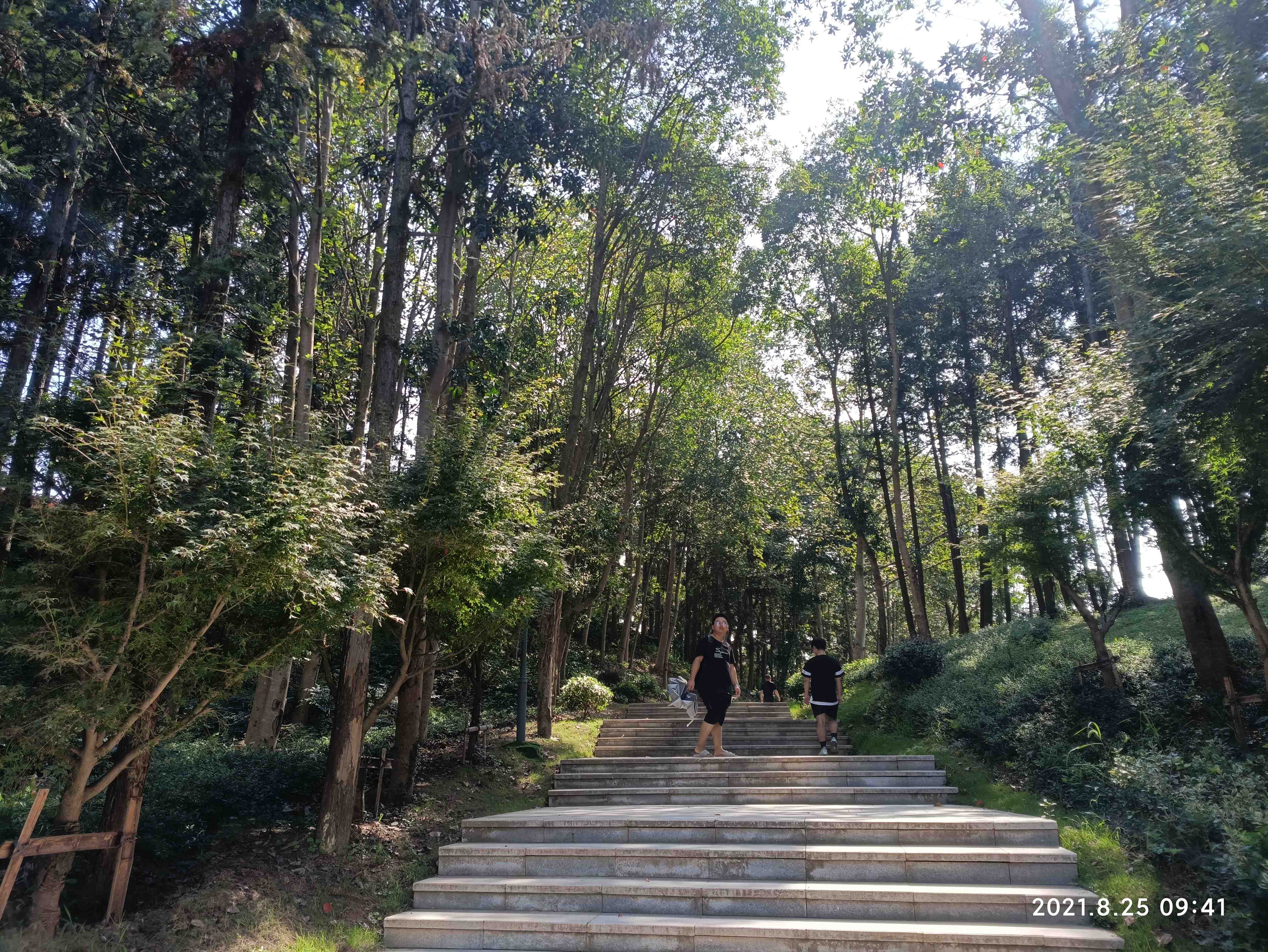 登云岭旅行图片 1