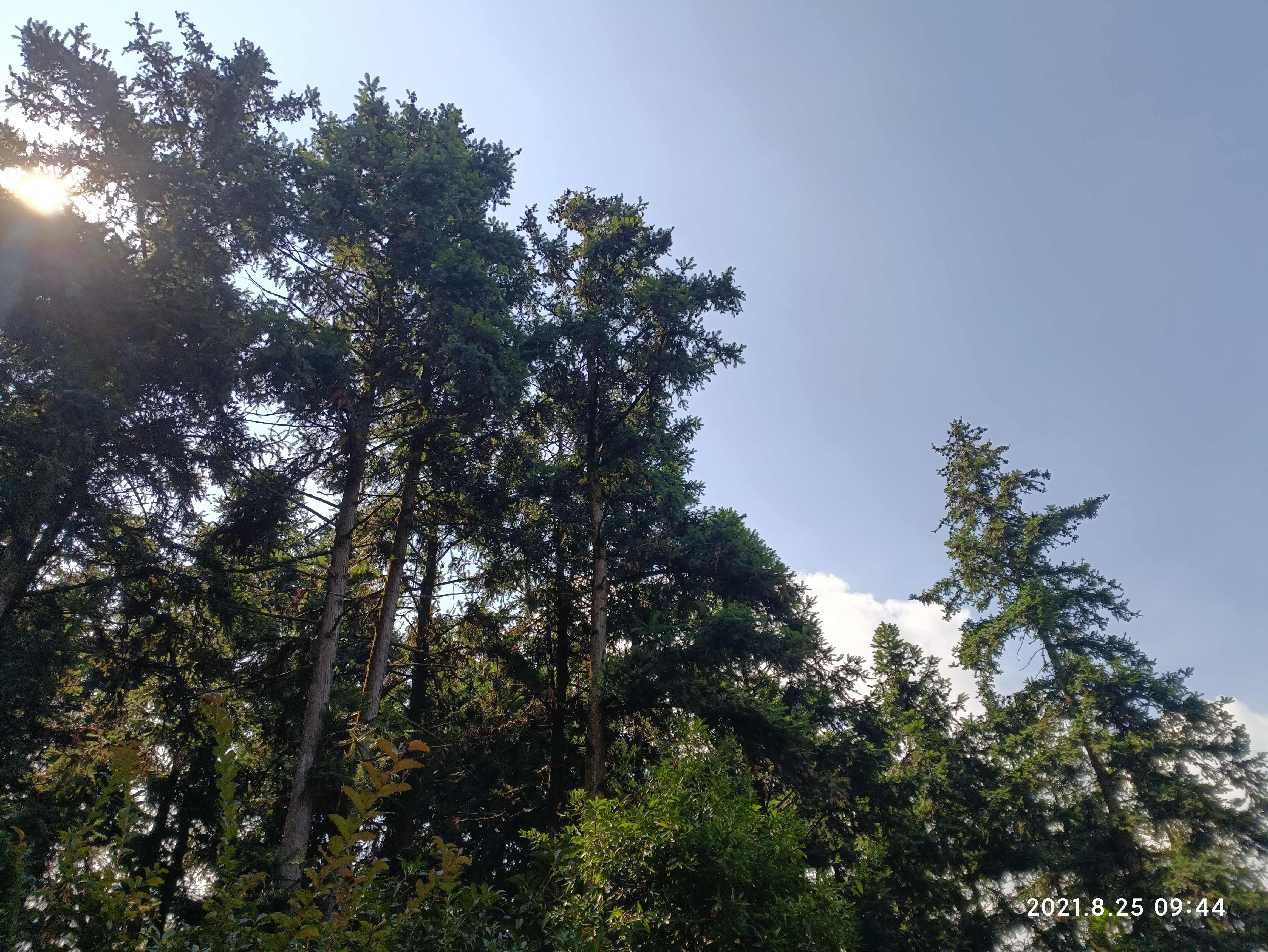 登云岭旅行图片 3