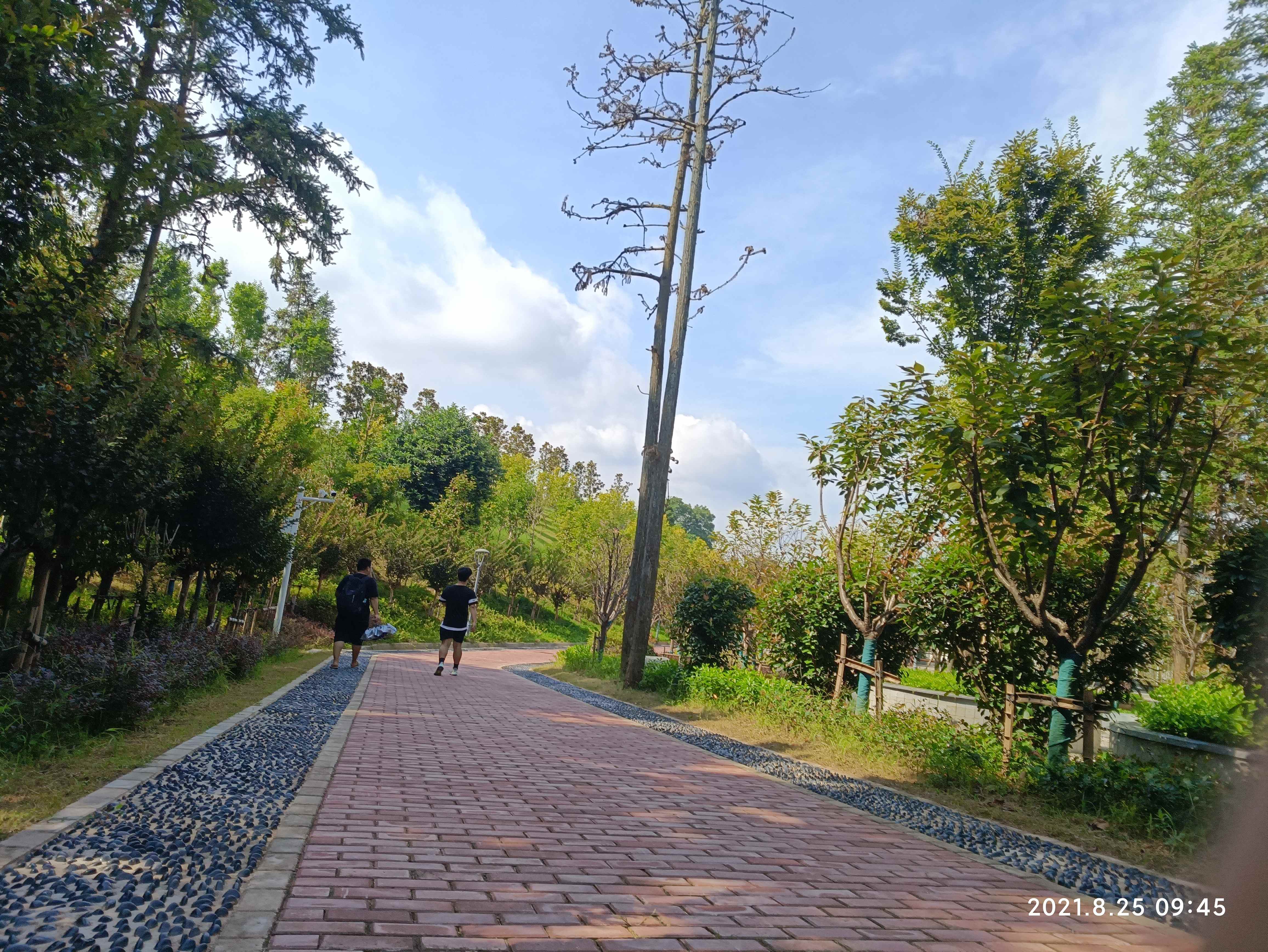 登云岭旅行图片 2