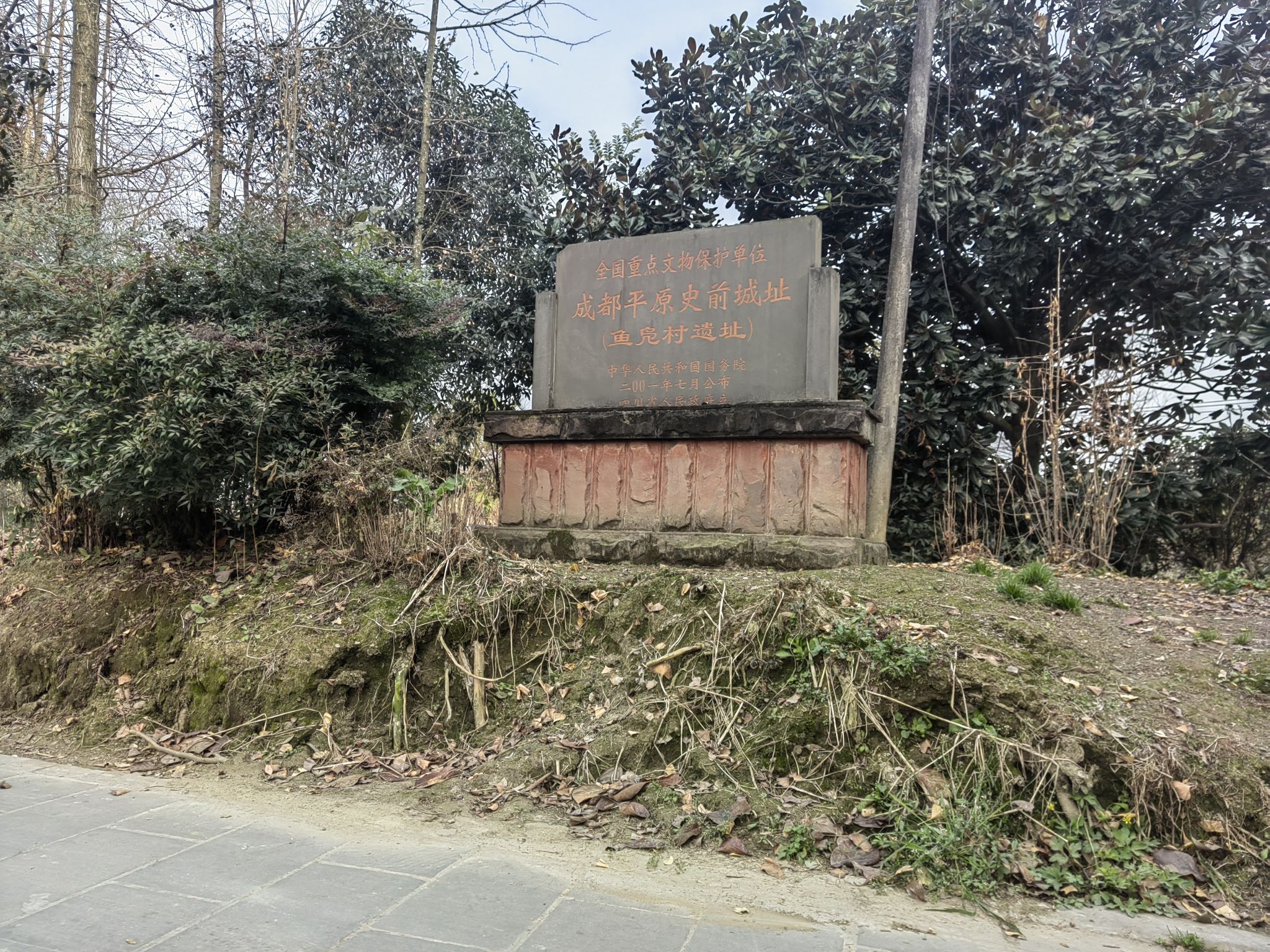 鱼凫村遗址旅行图片 2