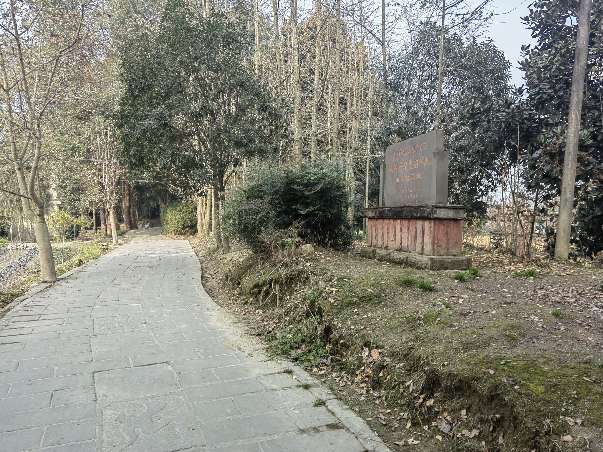 鱼凫村遗址旅行图片 1
