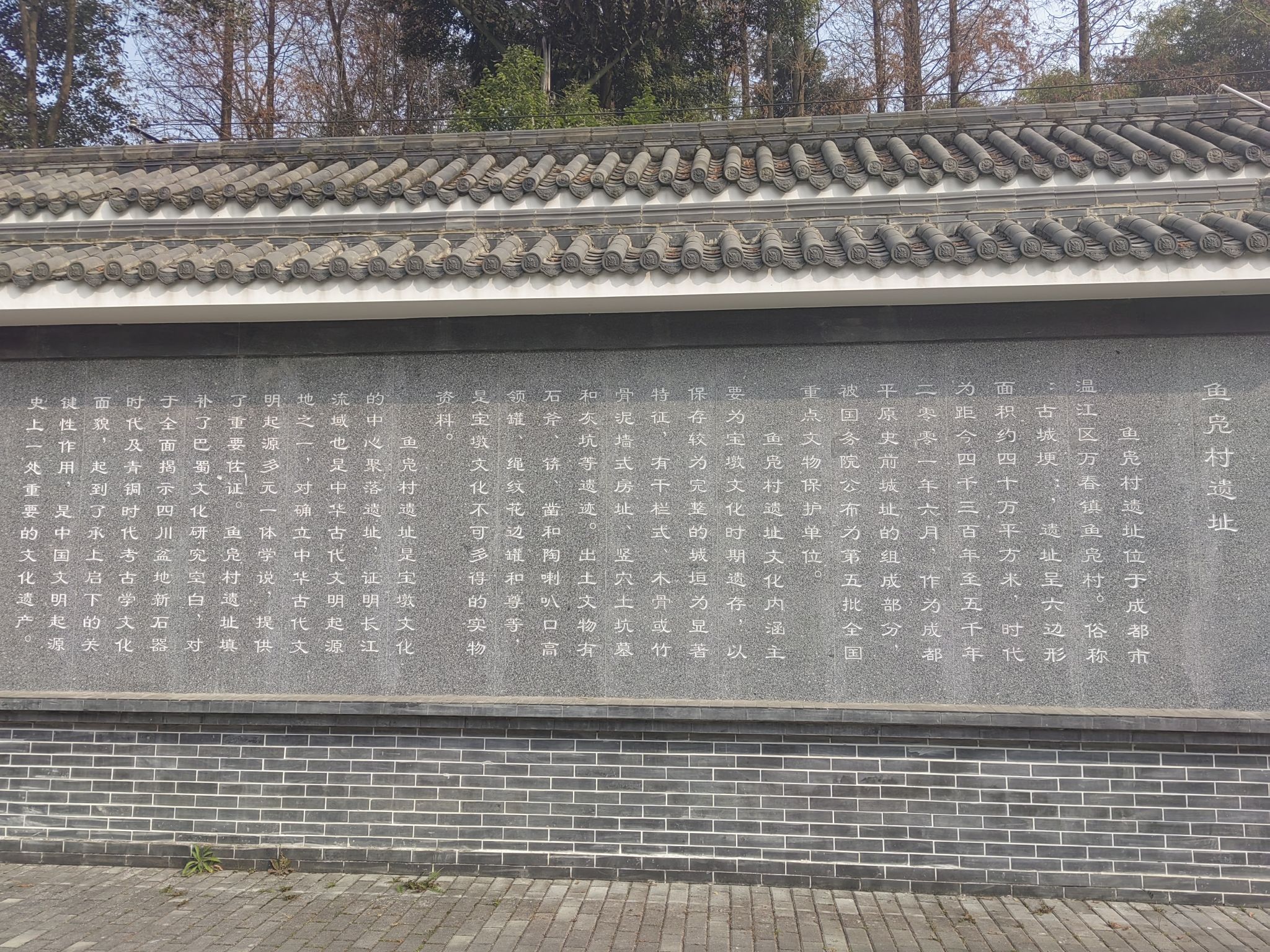 鱼凫村遗址旅行图片 3
