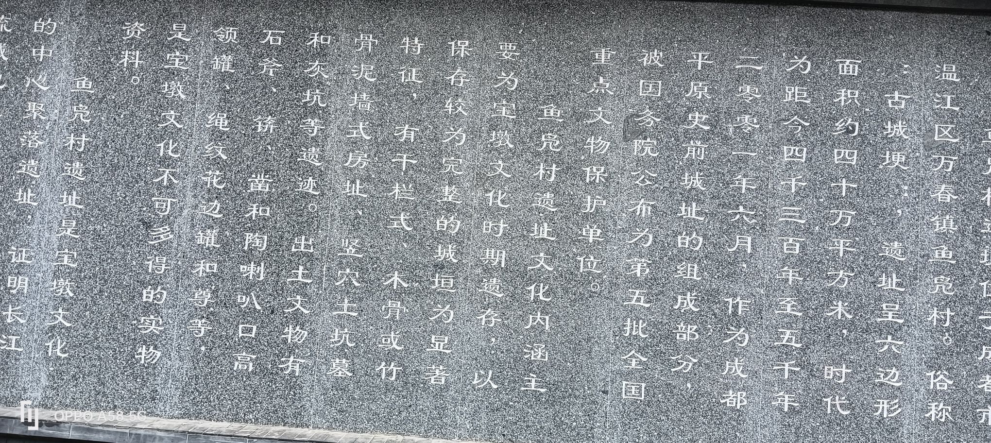 鱼凫村遗址旅行图片 2