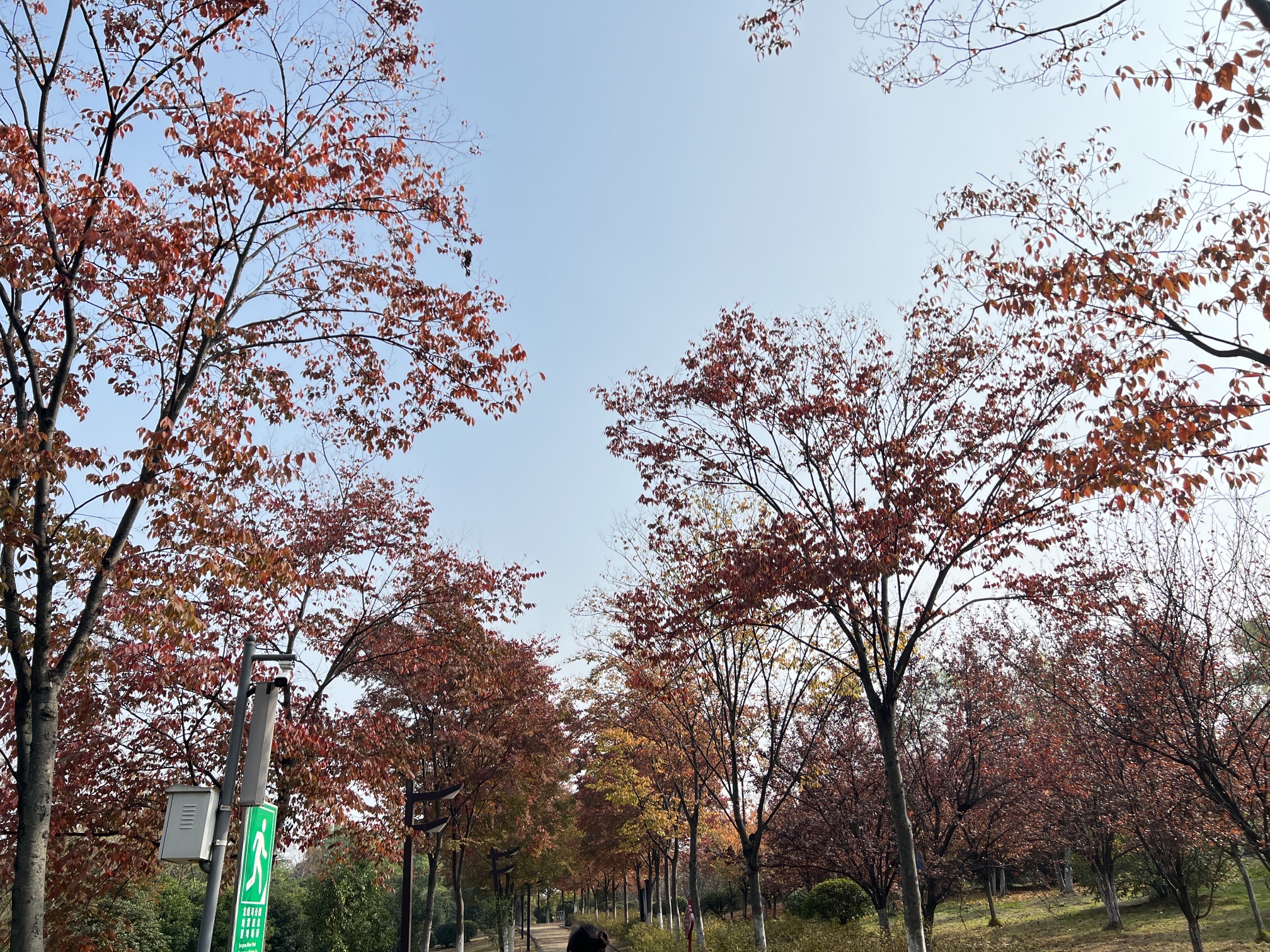 龙蟠河公园