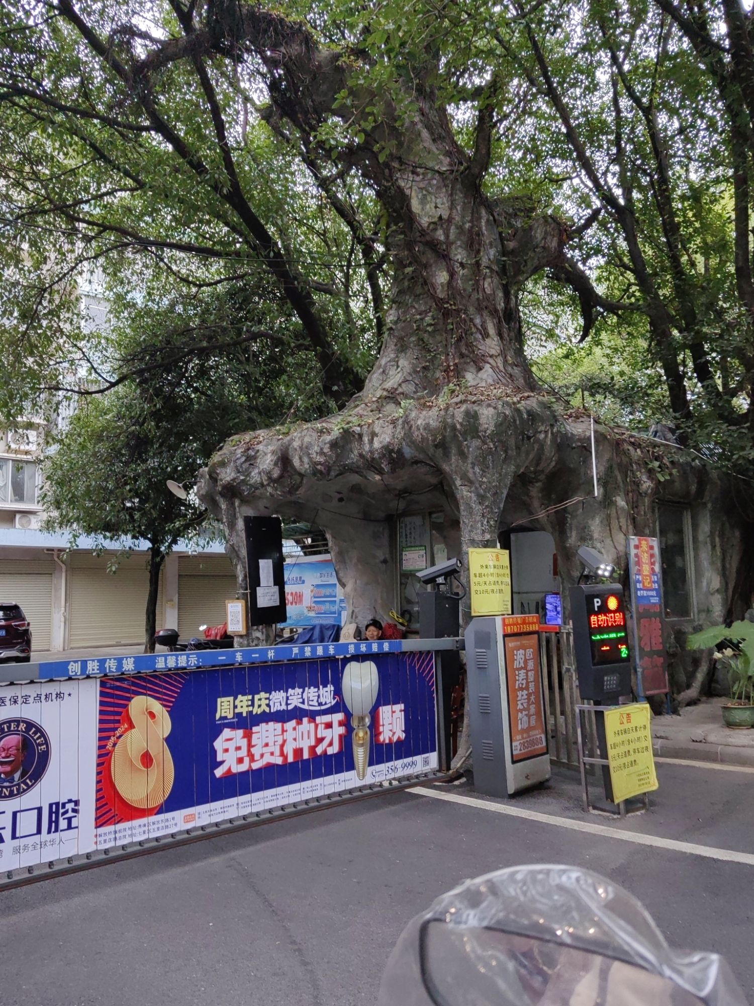 燕湖公园旅行图片 1