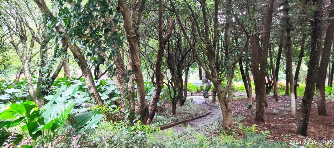 燕湖公园旅行图片 2