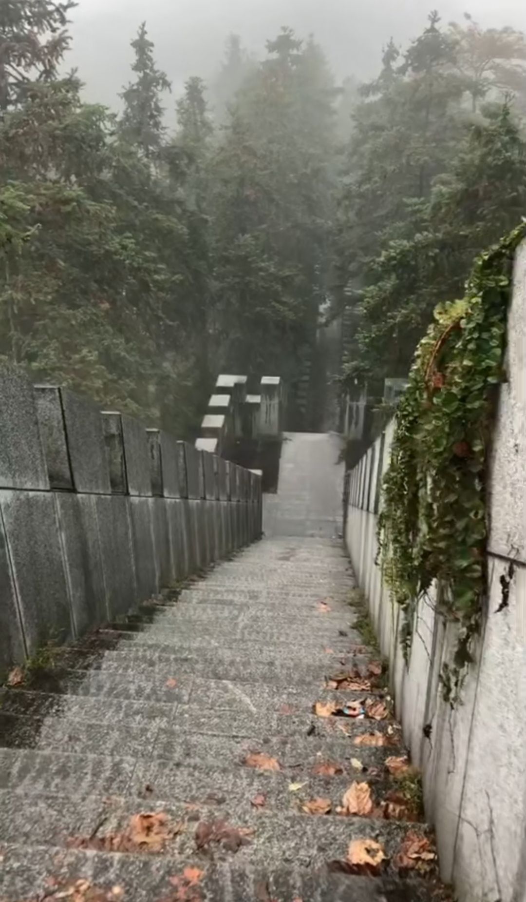 观鹭台旅行图片 1