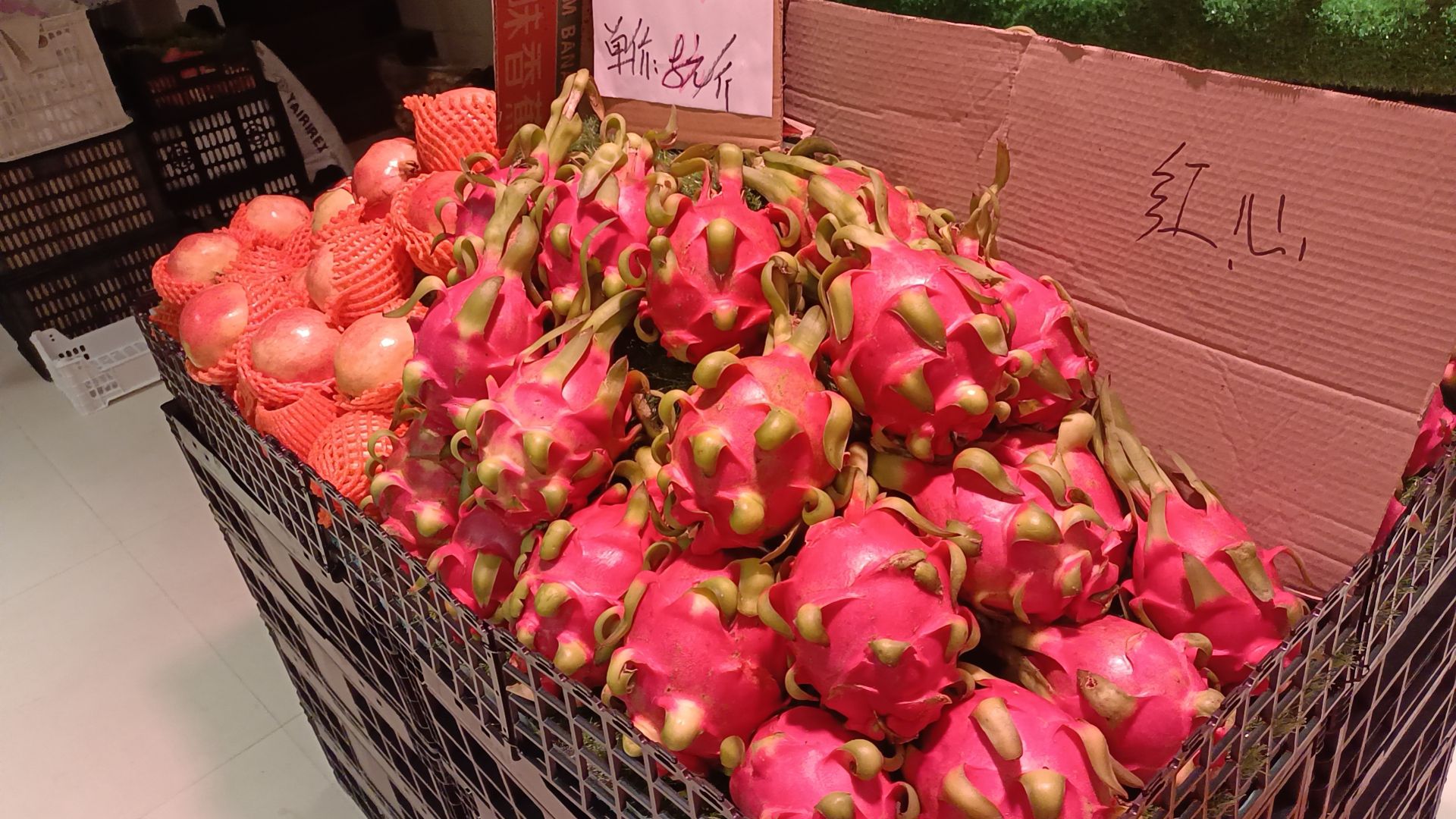 阳光超市(牌坊路店)