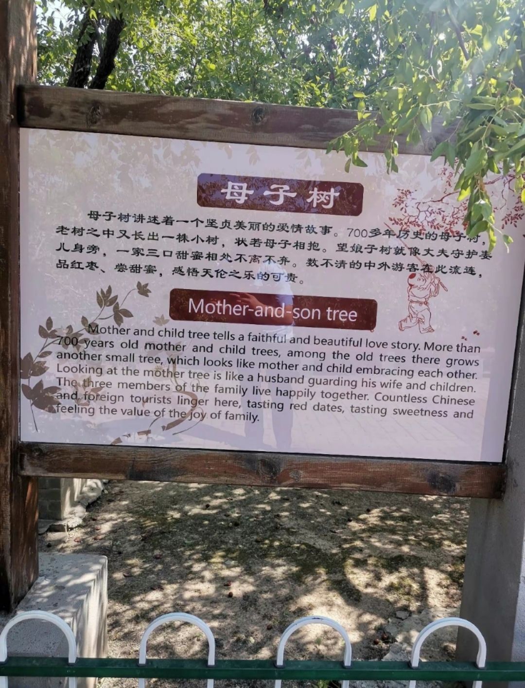 千年枣林游览区旅行图片 1