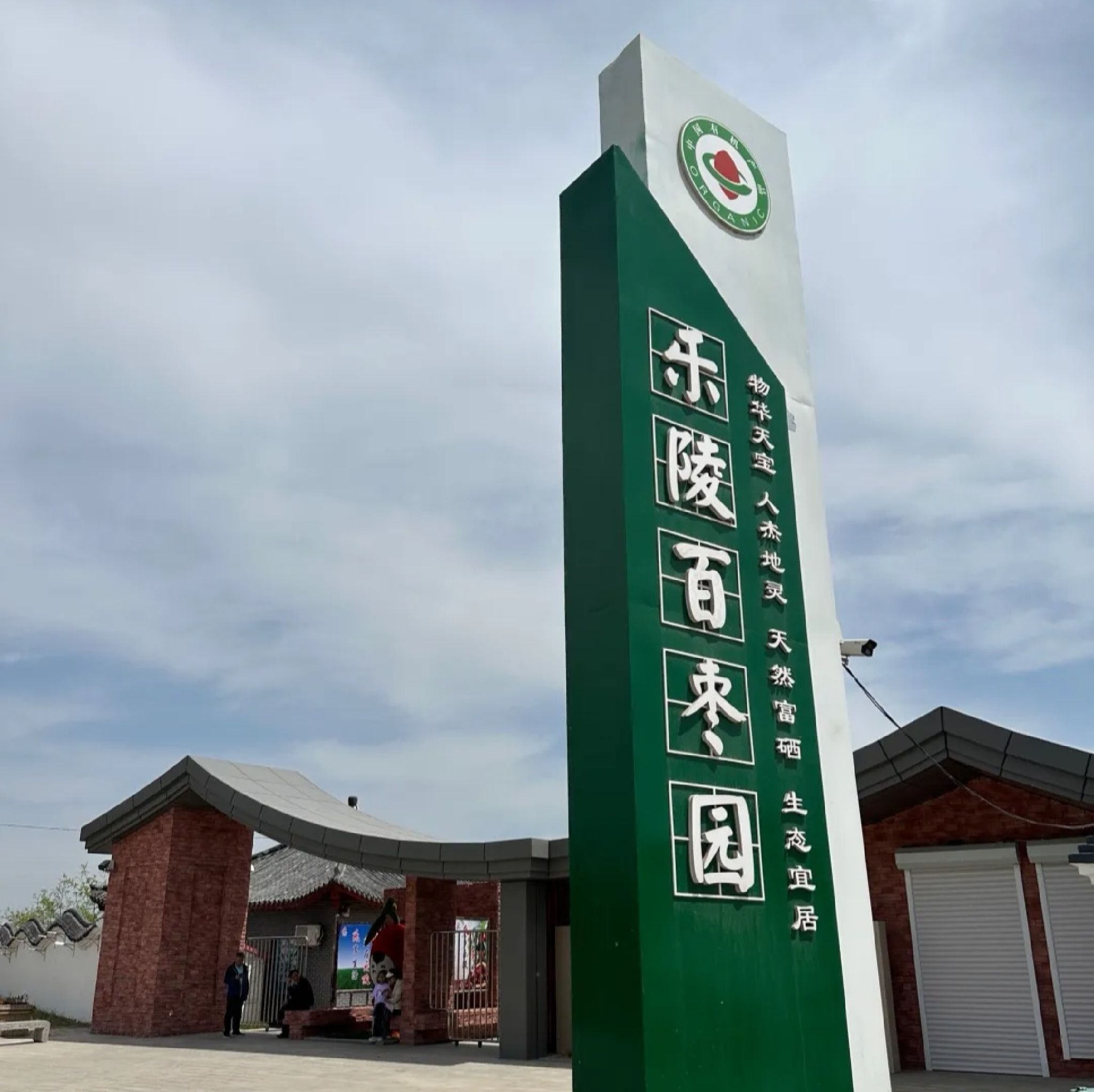 千年枣林游览区旅行图片 1