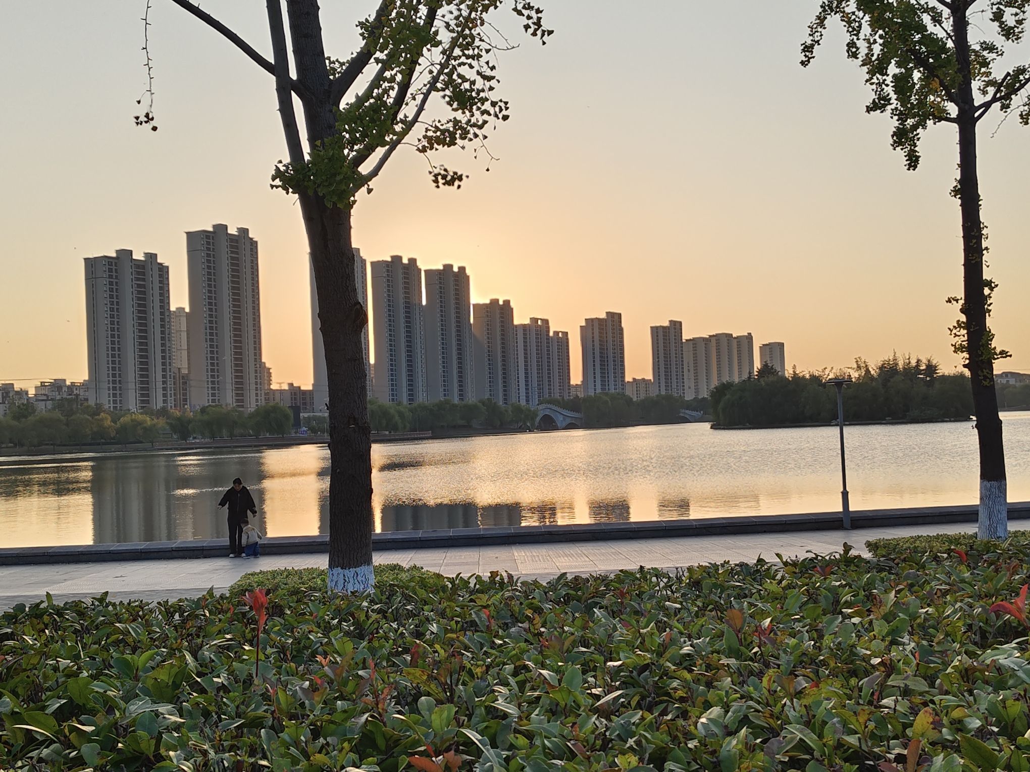 鲲鹏公园旅行图片 2
