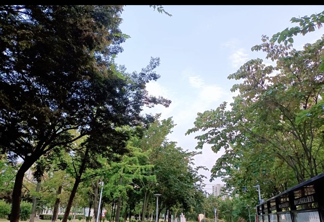 鲲鹏公园旅行图片 3