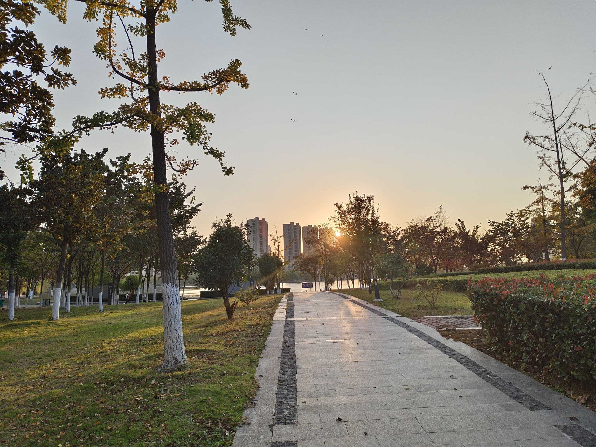 鲲鹏公园旅行图片