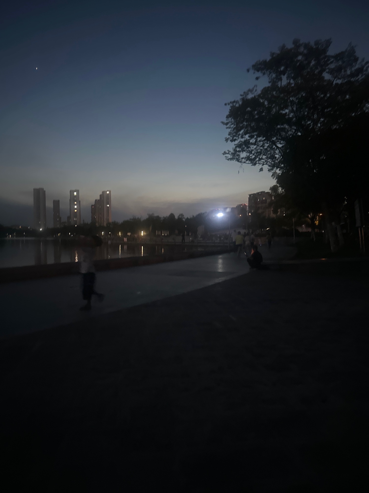 鲲鹏公园旅行图片 3