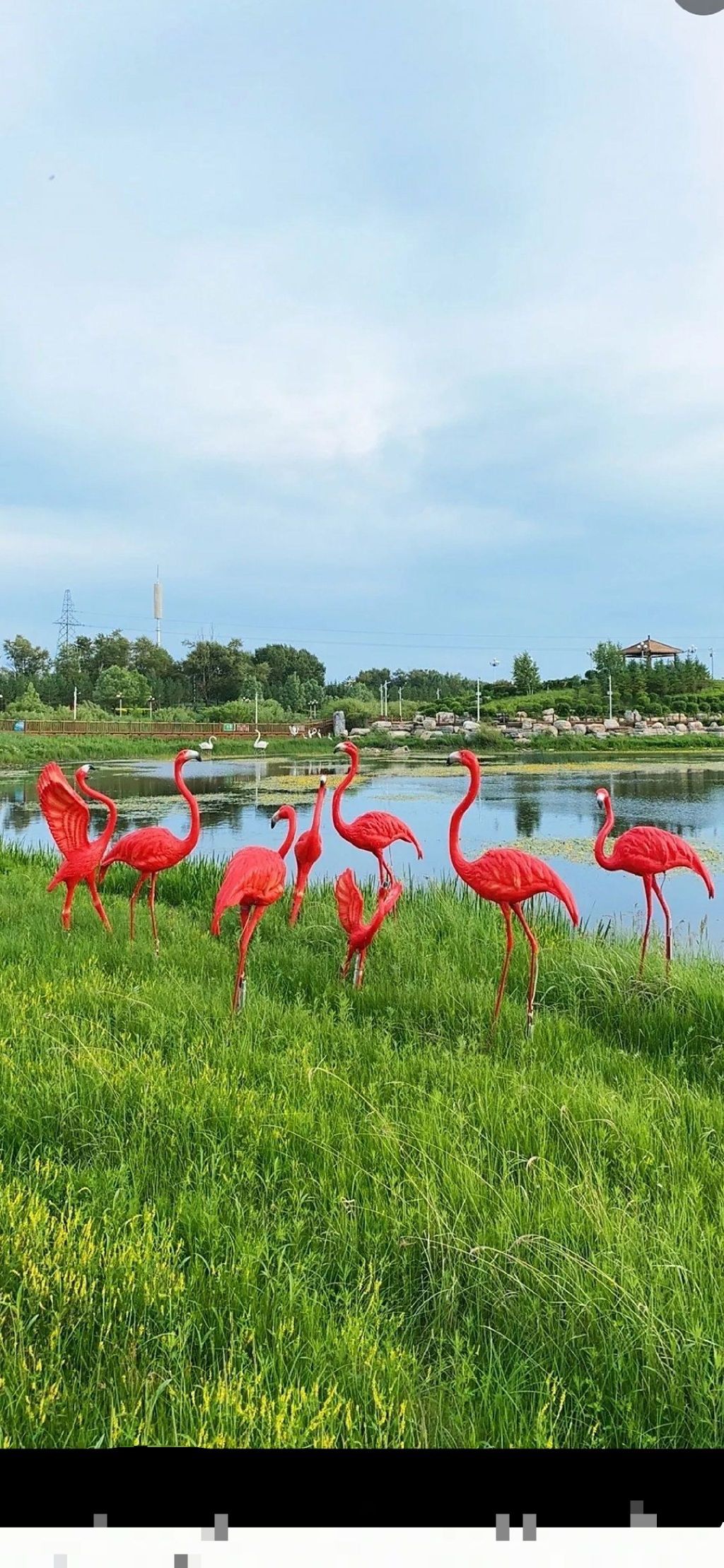 沽源县文体广场旅行图片 2