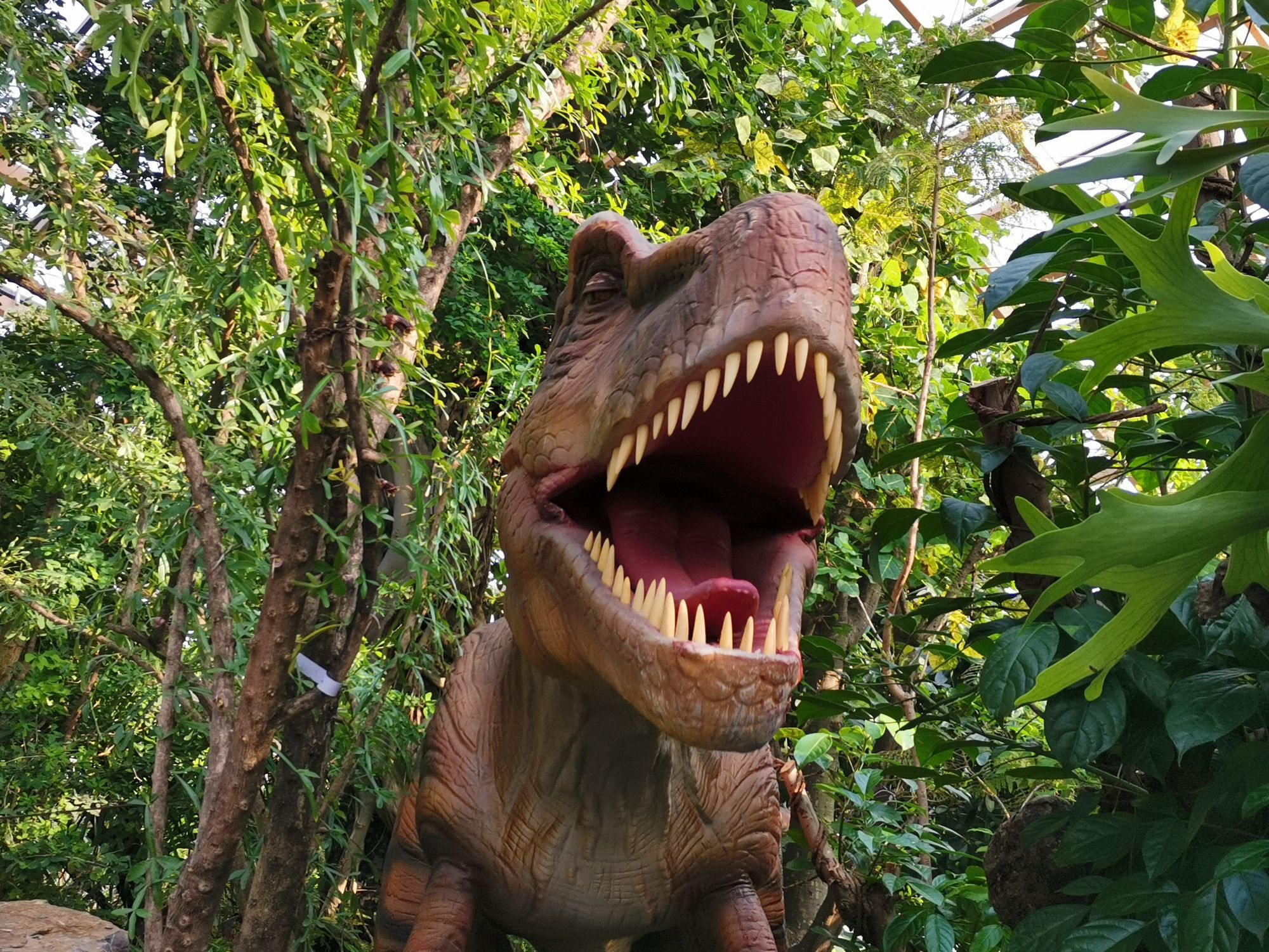 太原植物园珍稀植物引种驯化基地旅行图片 3