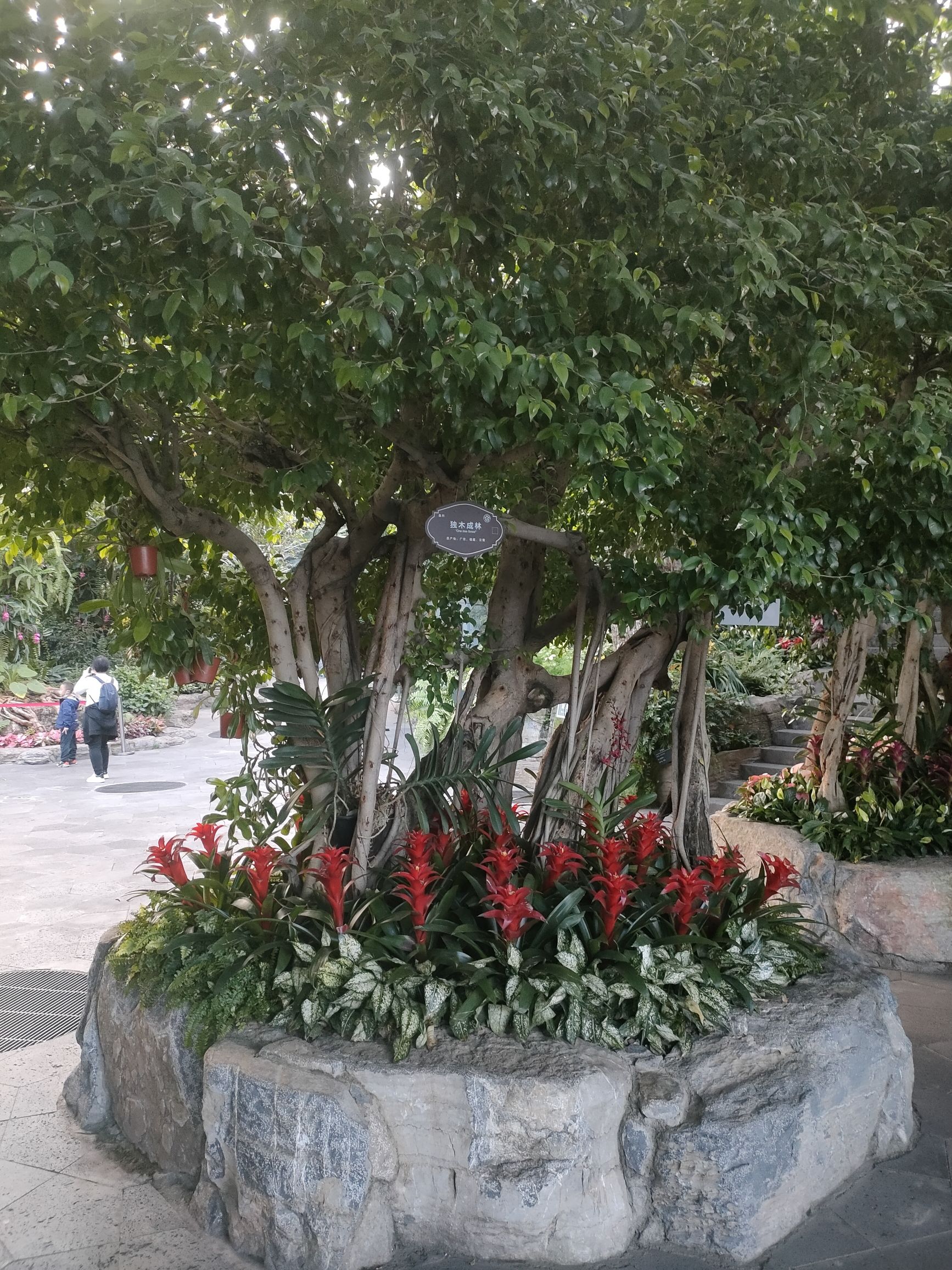太原植物园珍稀植物引种驯化基地旅行图片 2