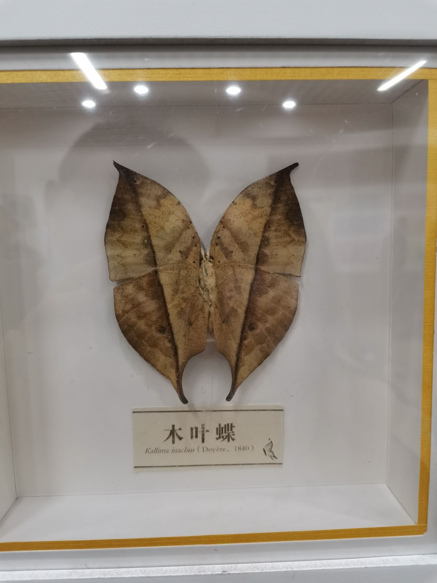 太原植物园珍稀植物引种驯化基地旅行图片 1