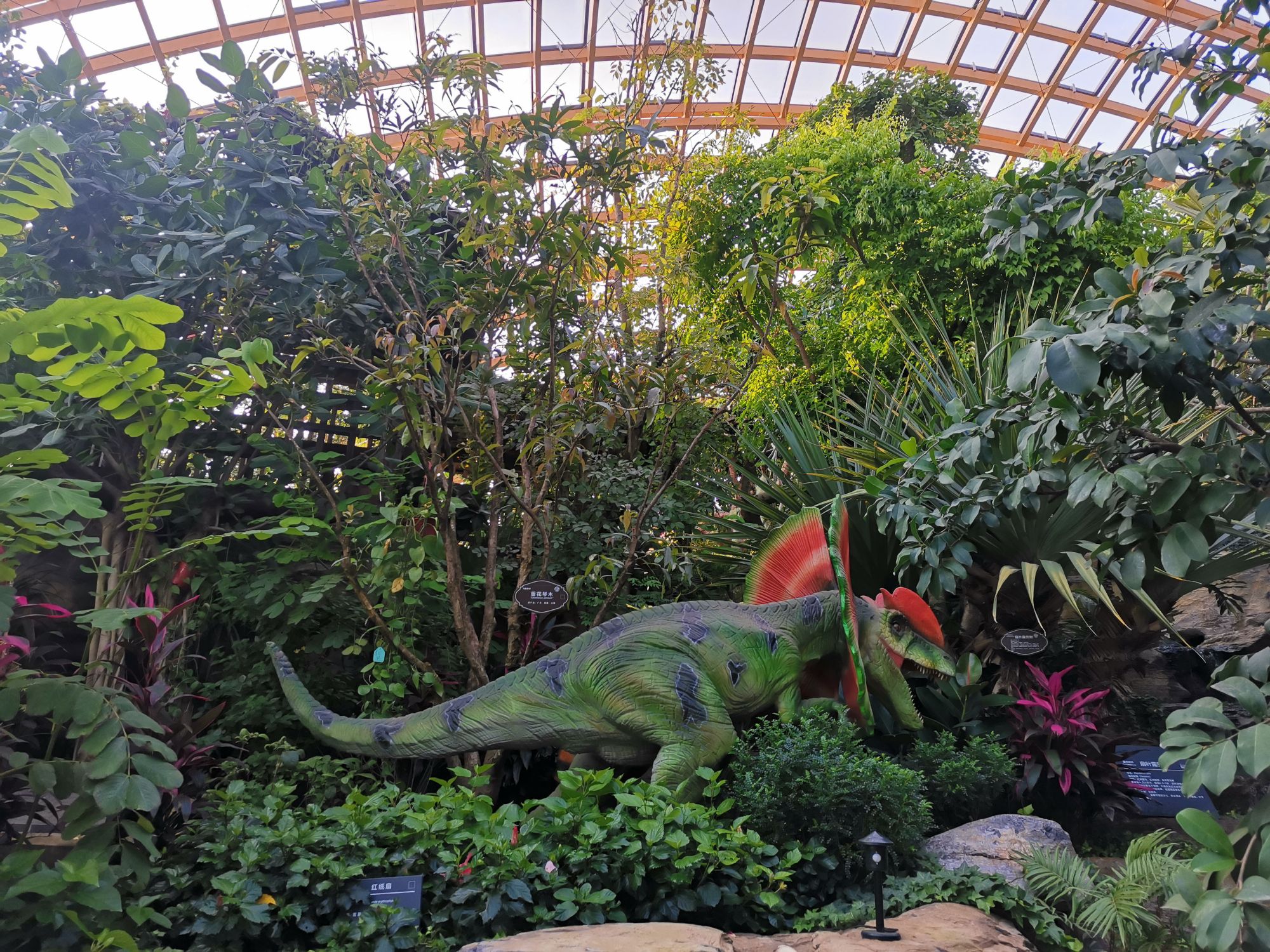 太原植物园珍稀植物引种驯化基地旅行图片 2