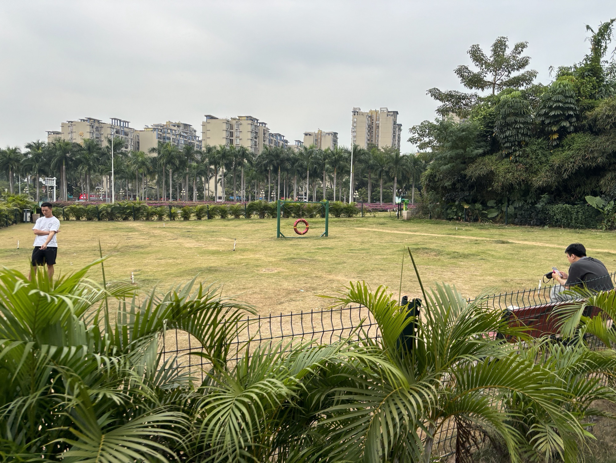 翠东社区宠物公园旅行图片 3