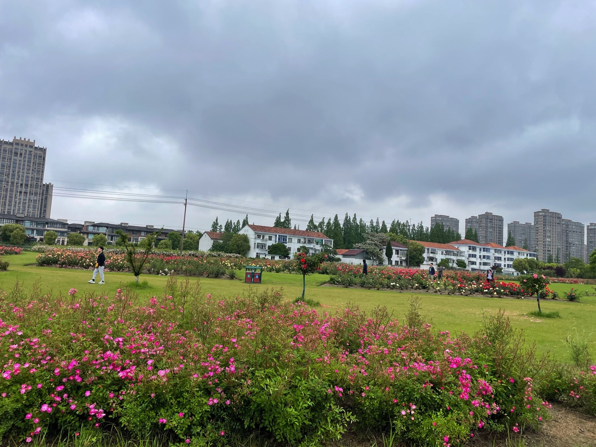太仓海运仓遗址旅行图片 3