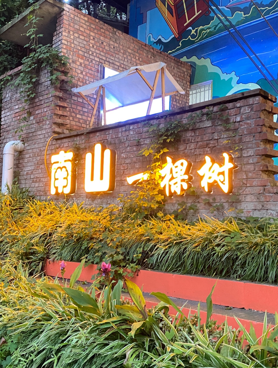南山一棵树观景台