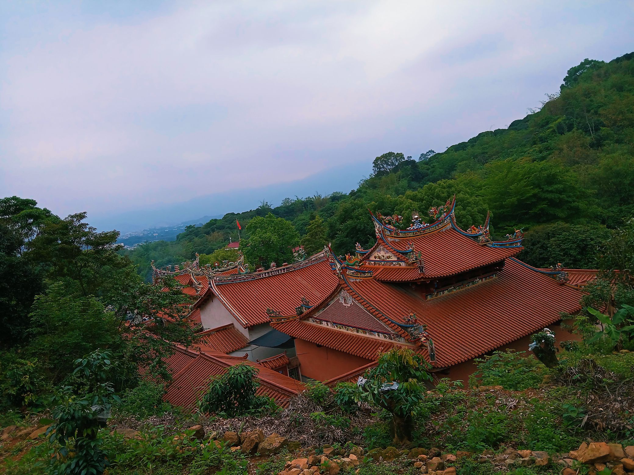 琵琶岩旅行图片 3