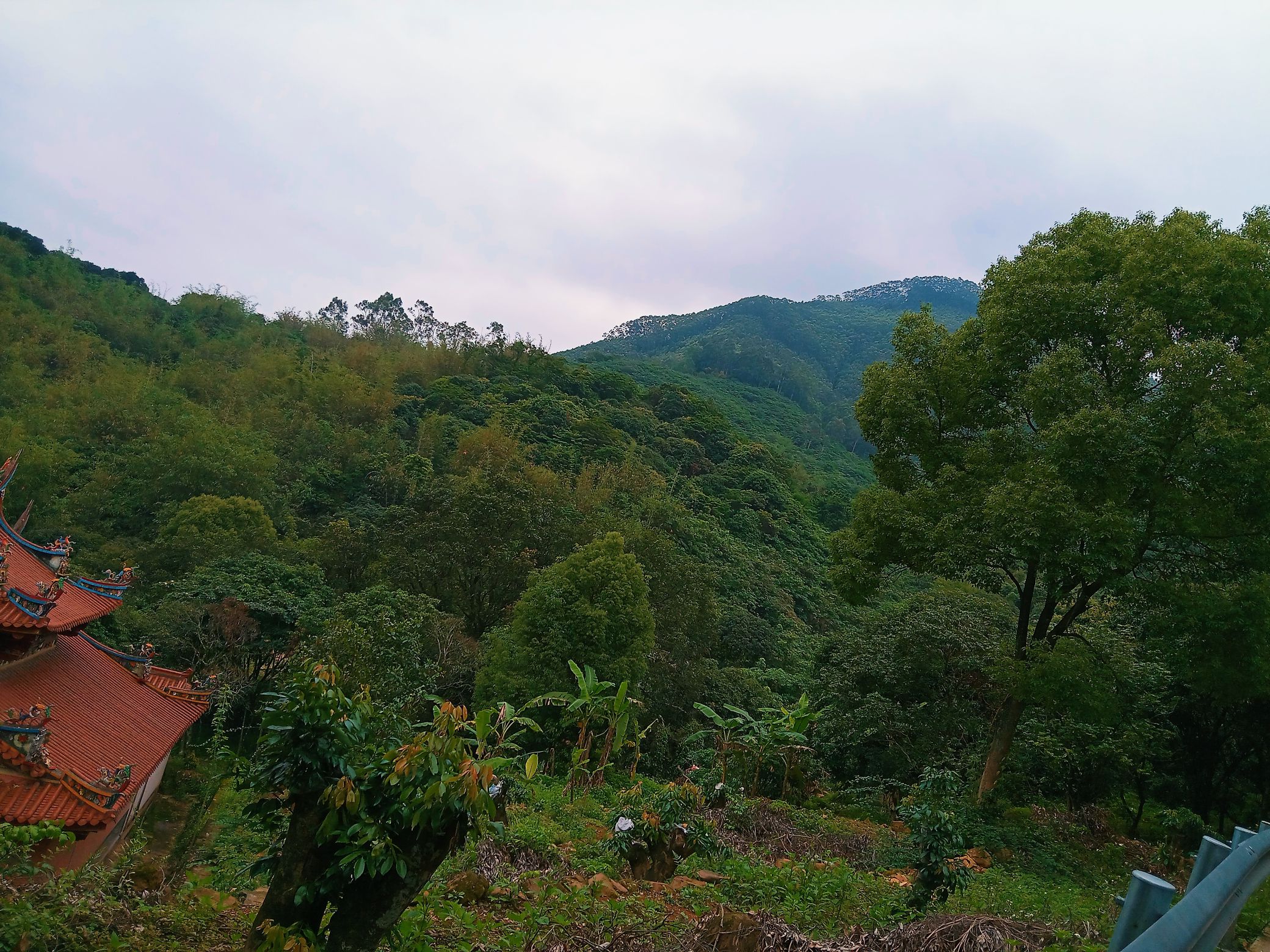 琵琶岩旅行图片 2