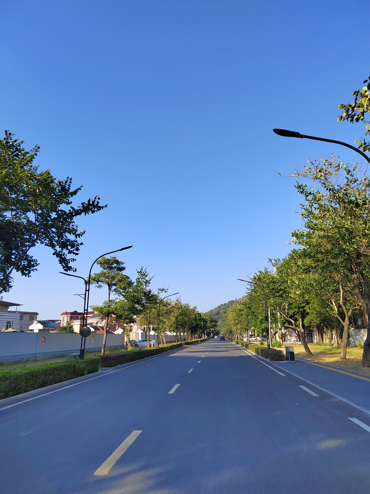 琵琶岩旅行图片 2