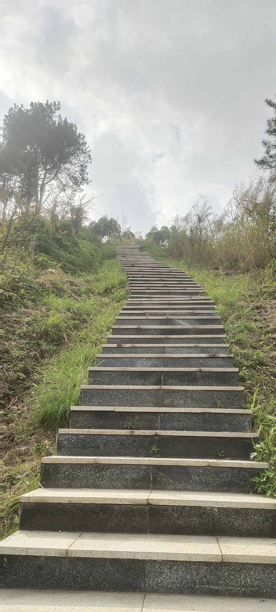 玉林市白马岭公园旅行图片 1