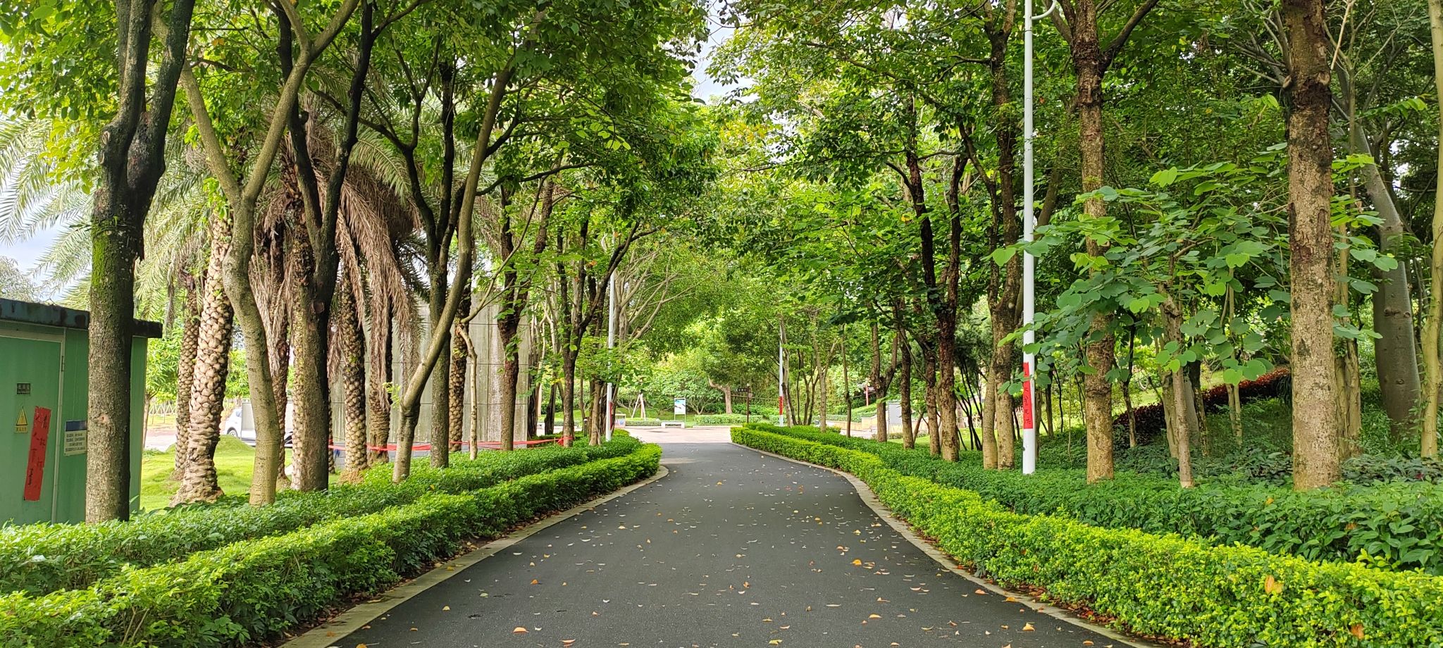玉林市白马岭公园旅行图片 3