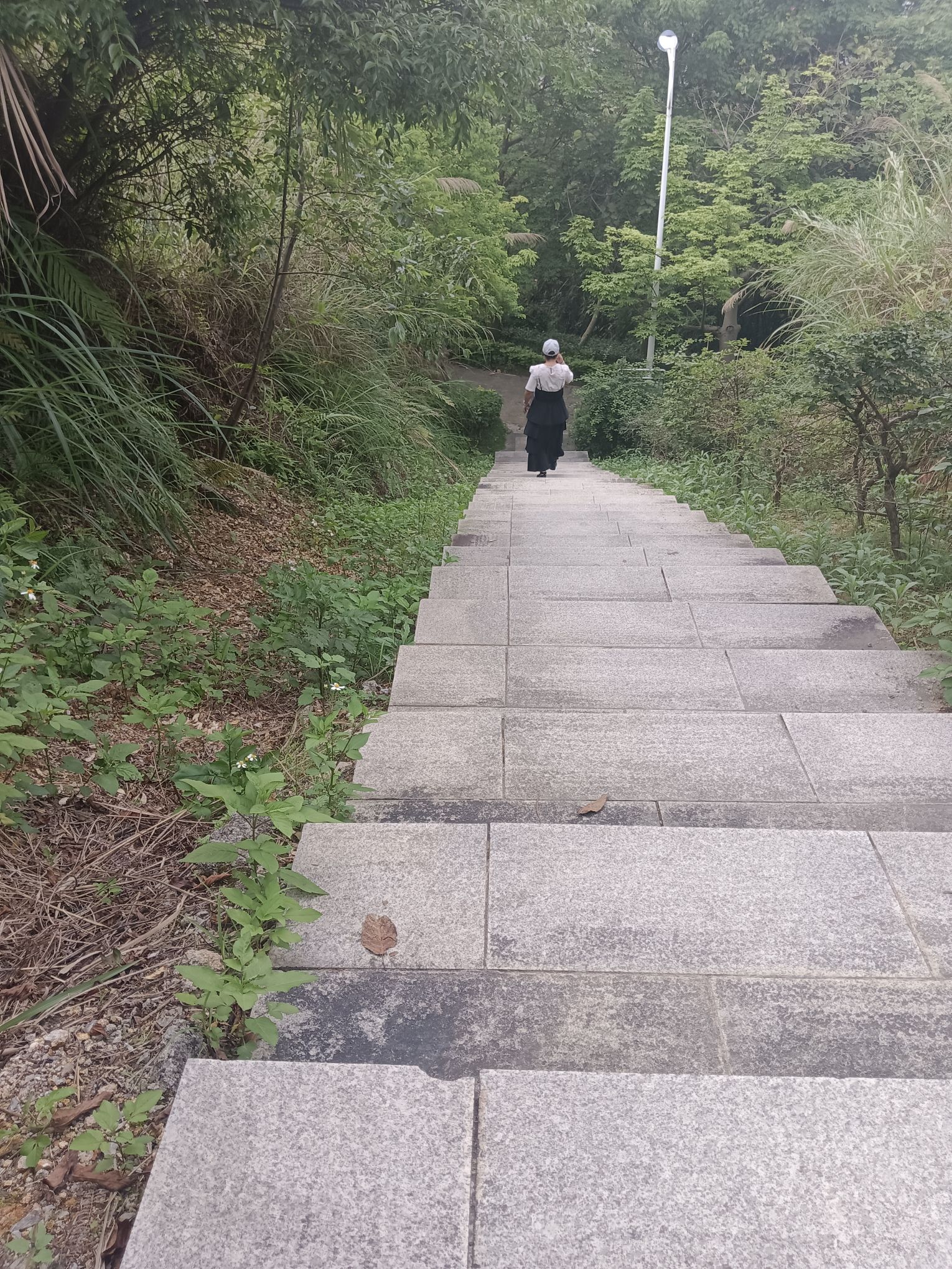 玉林市白马岭公园旅行图片 3