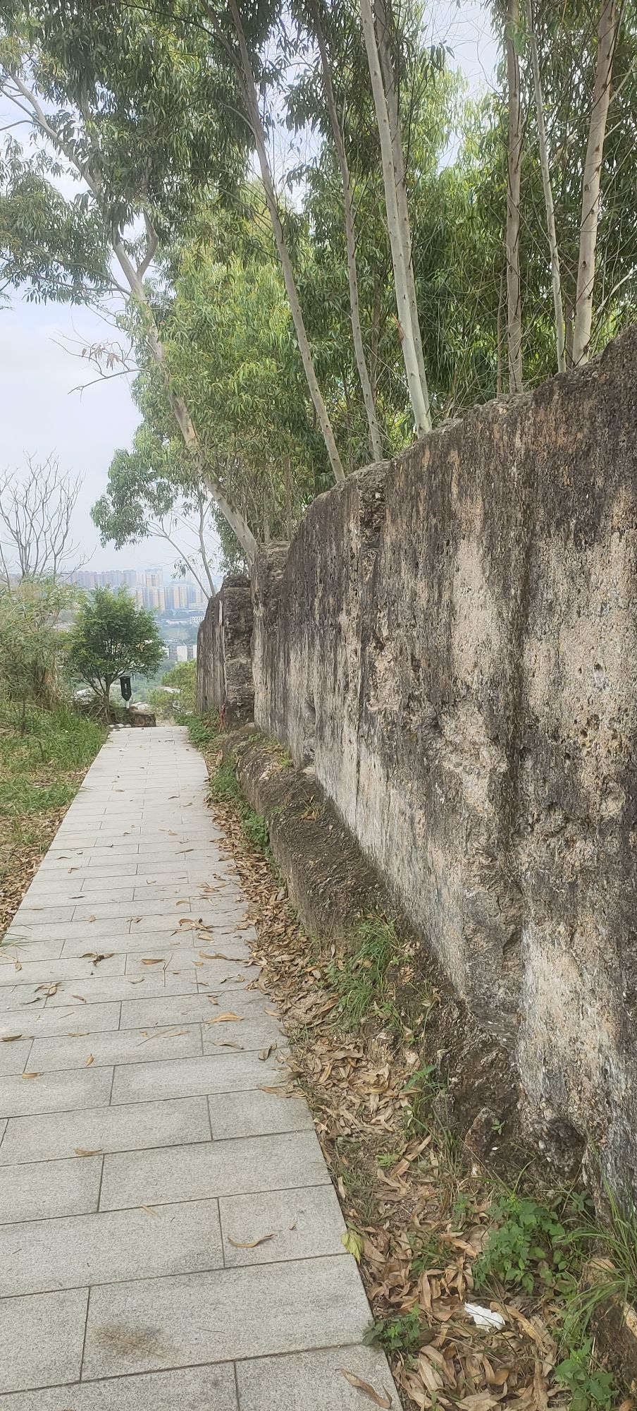 玉林市白马岭公园旅行图片 3