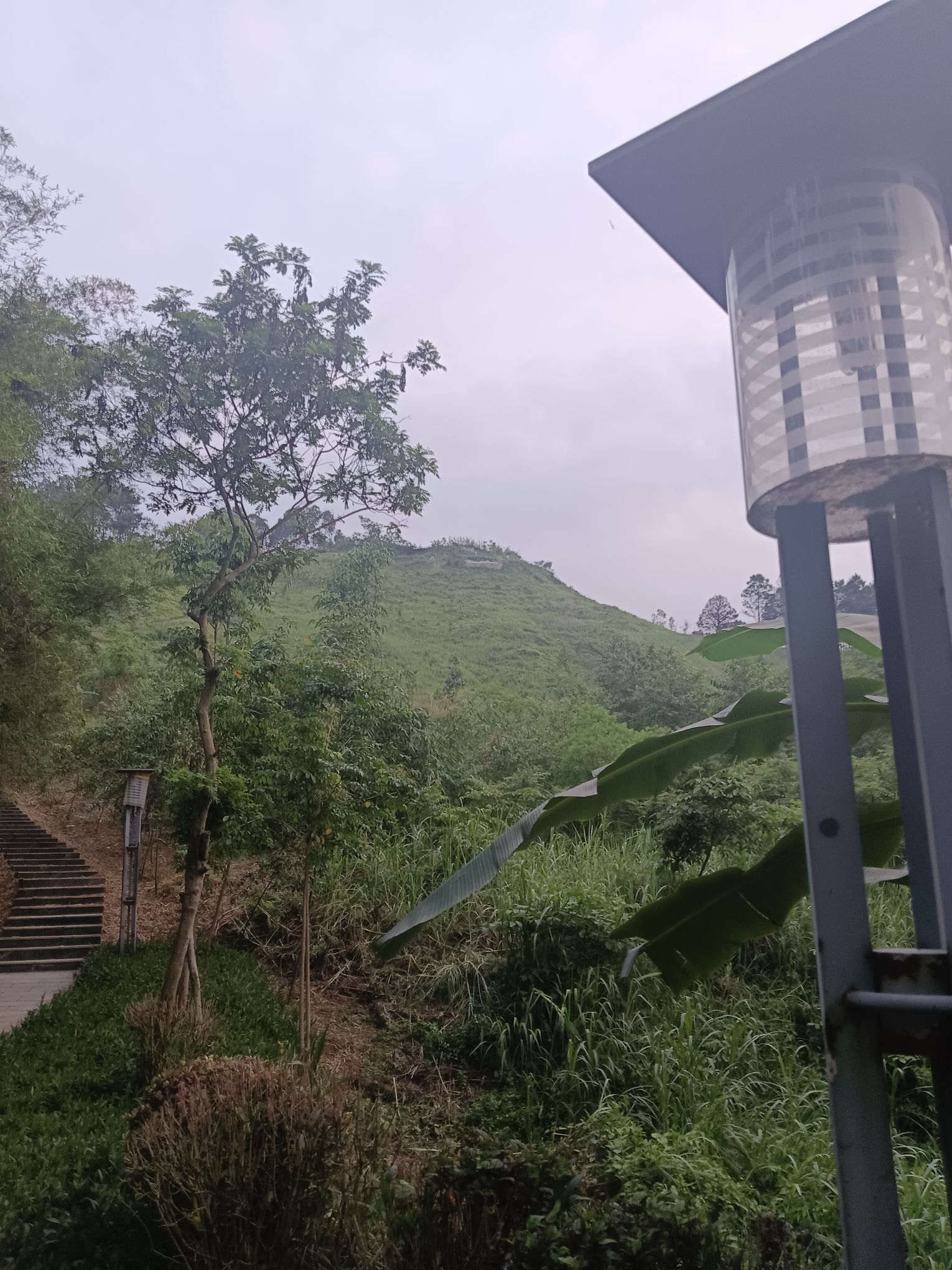 玉林市白马岭公园旅行图片 2